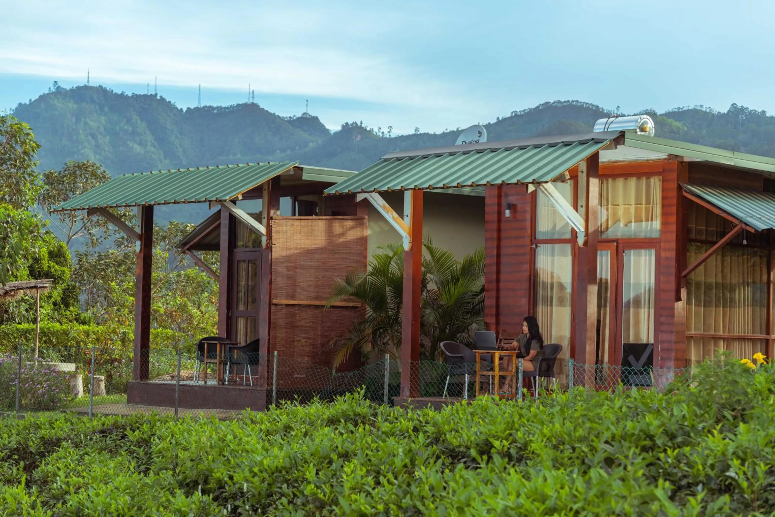 Cool Mount Resort