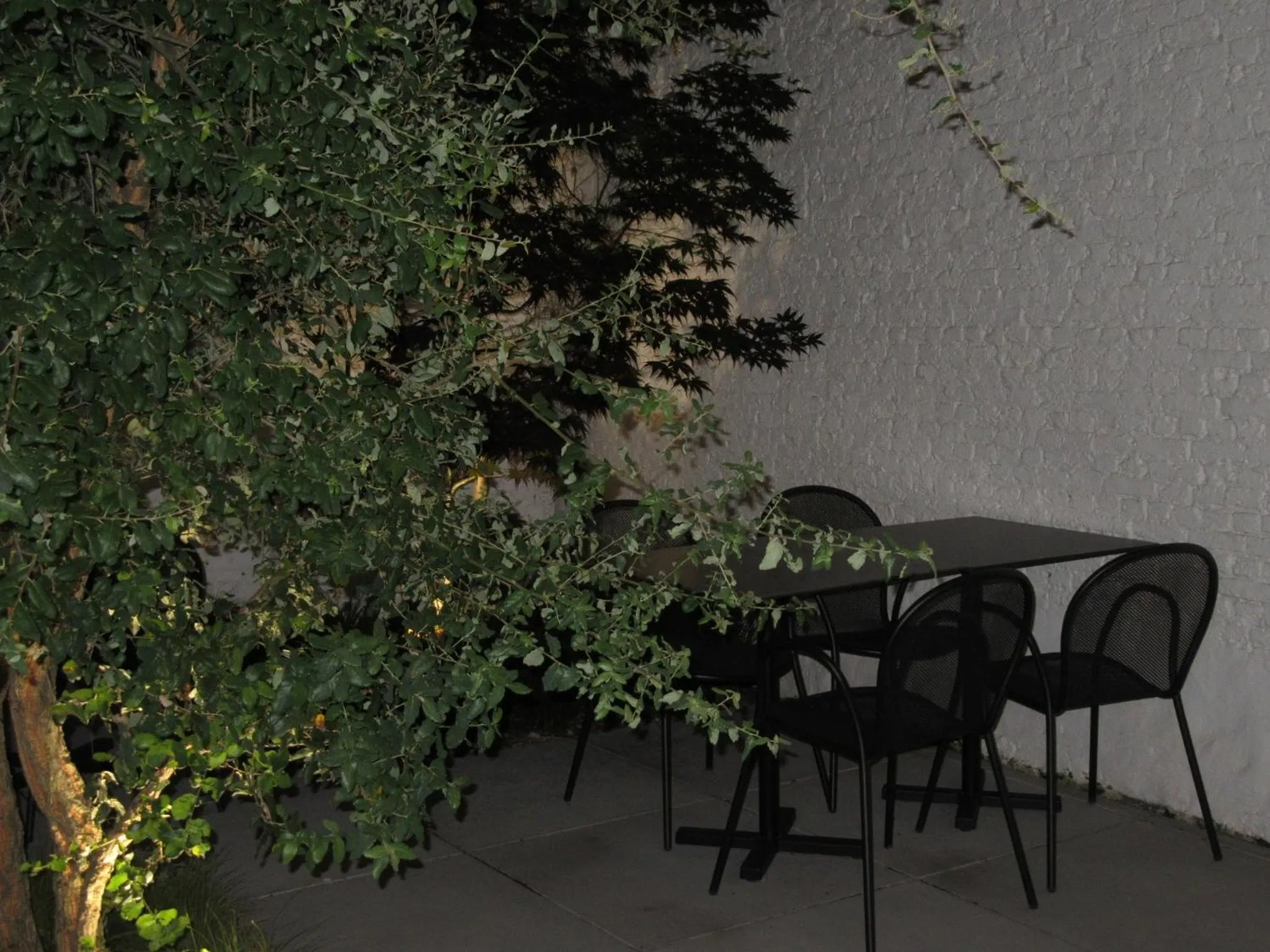 Balcony/Terrace in Hotel Muske Pitter