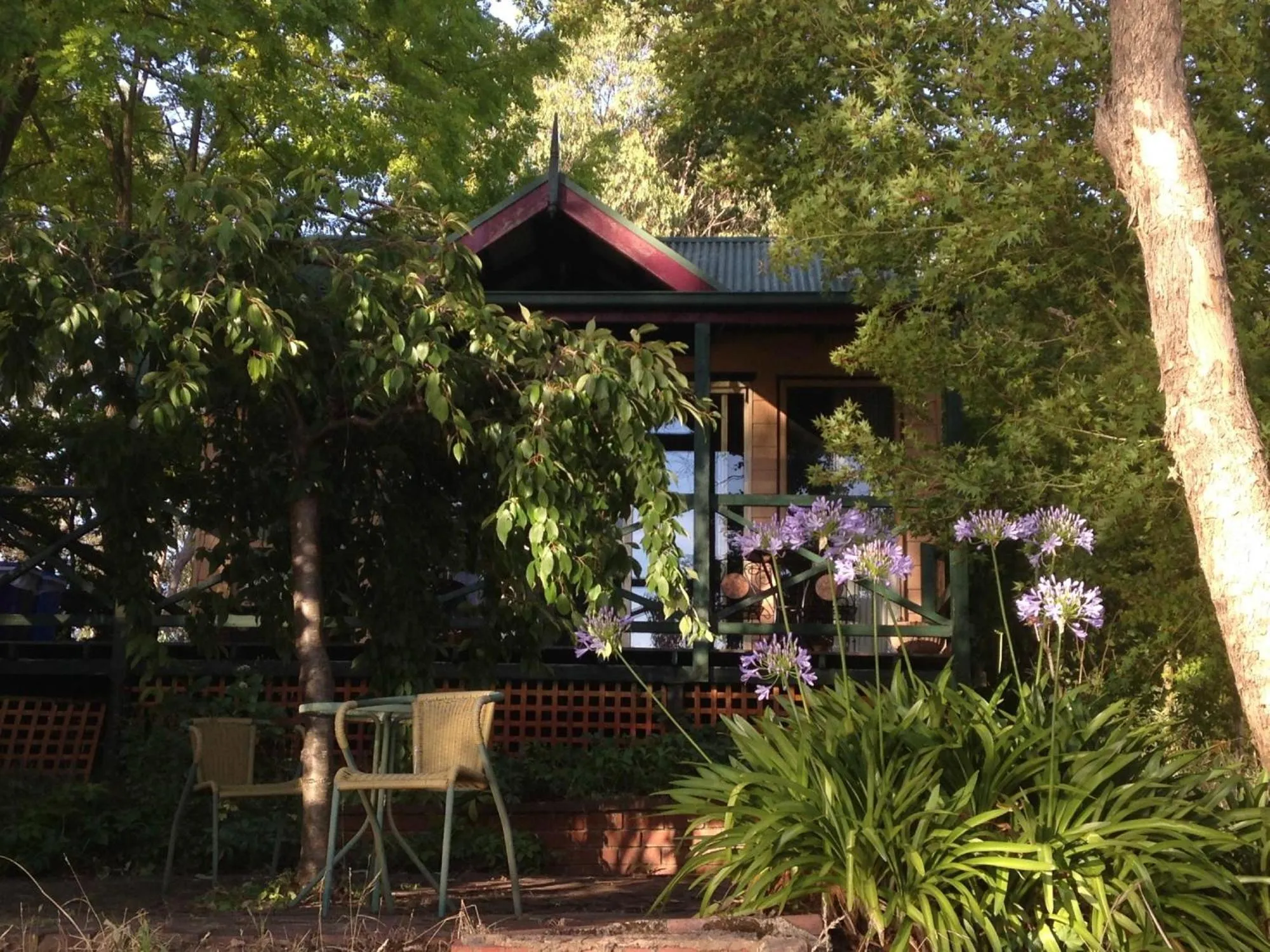 View (from property/room) in Willowlake Cottages