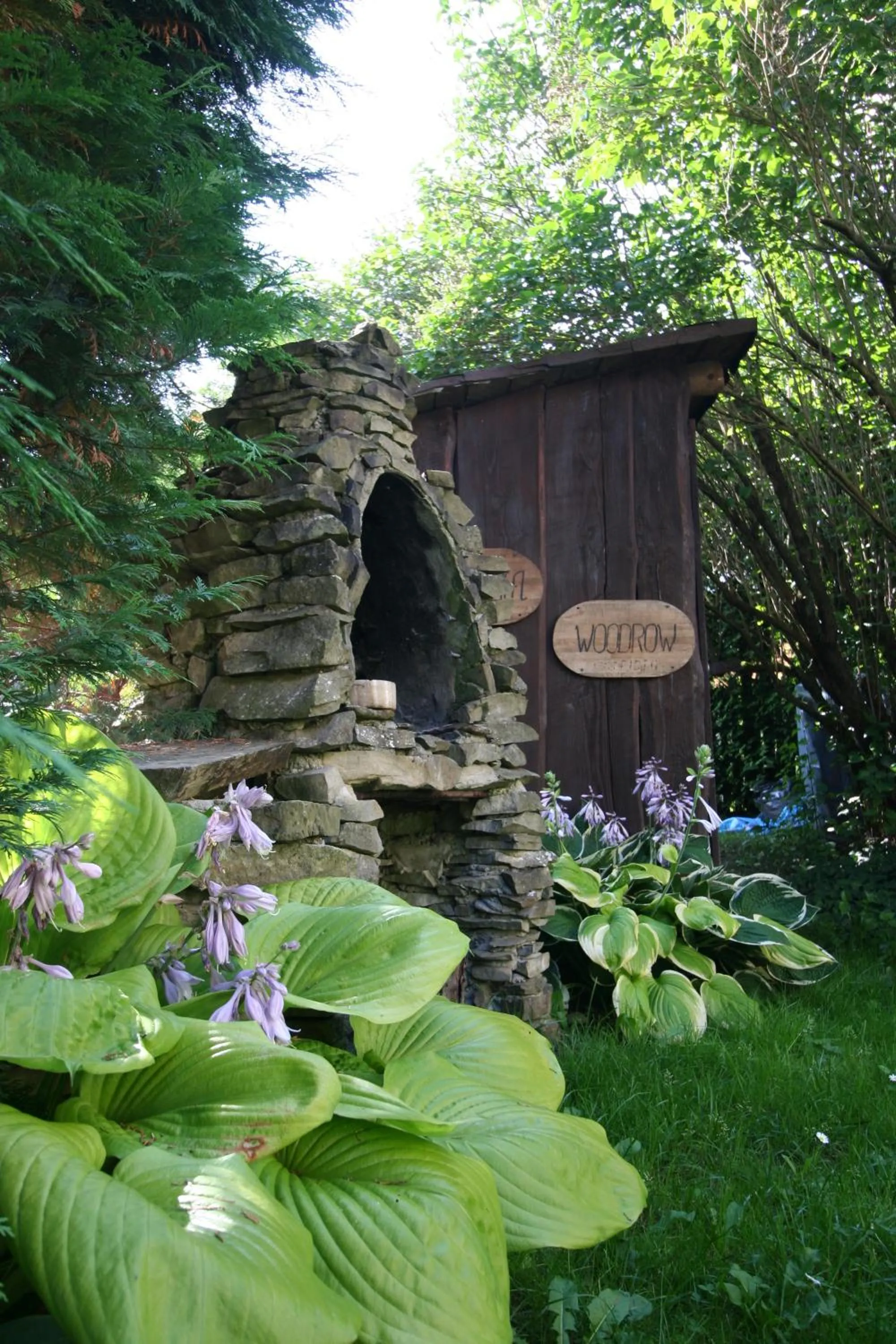 Garden in Willa Aba