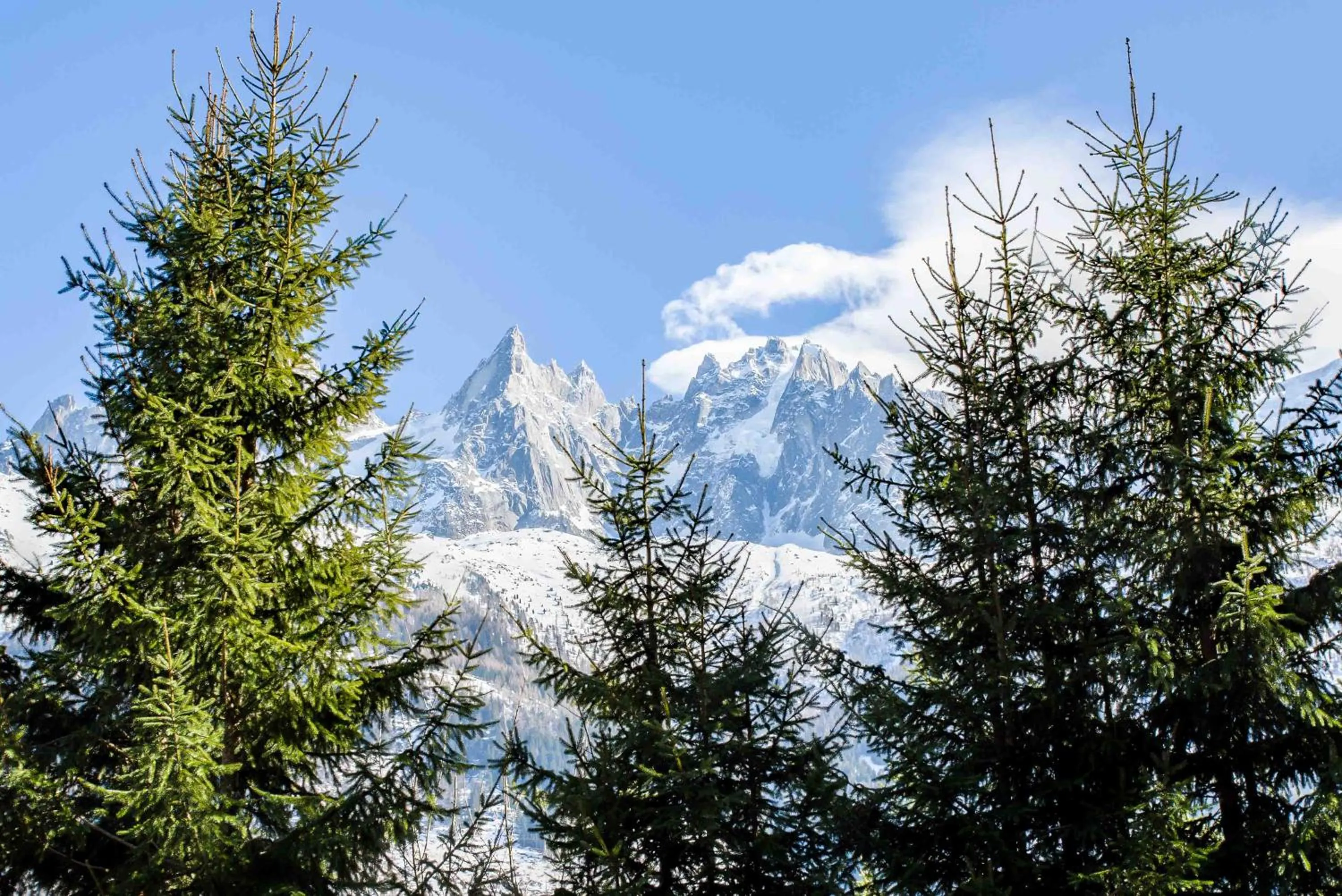 Mountain view in Chalet La Source - Chamonix All Year