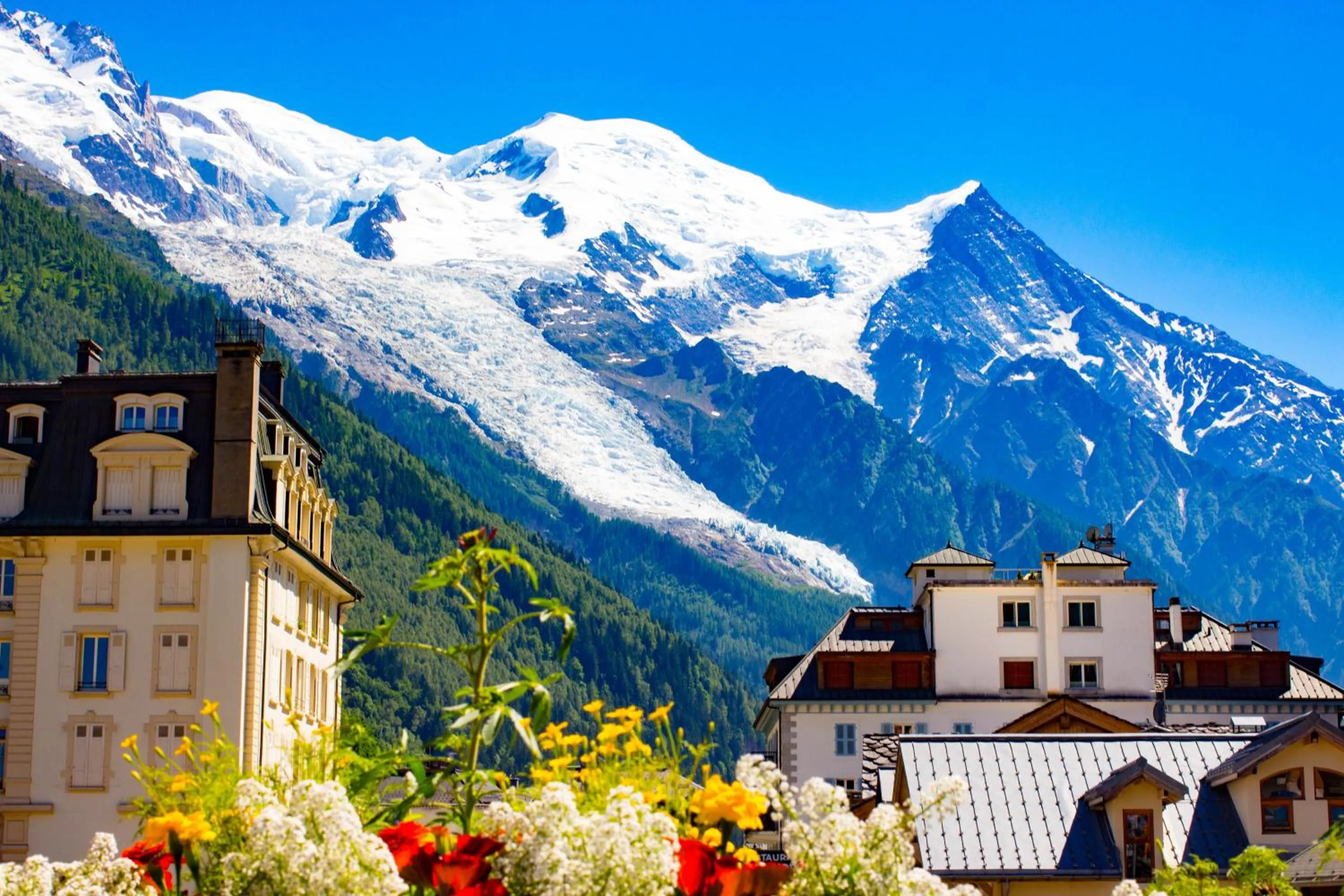 Mountain view in Chalet La Source - Chamonix All Year