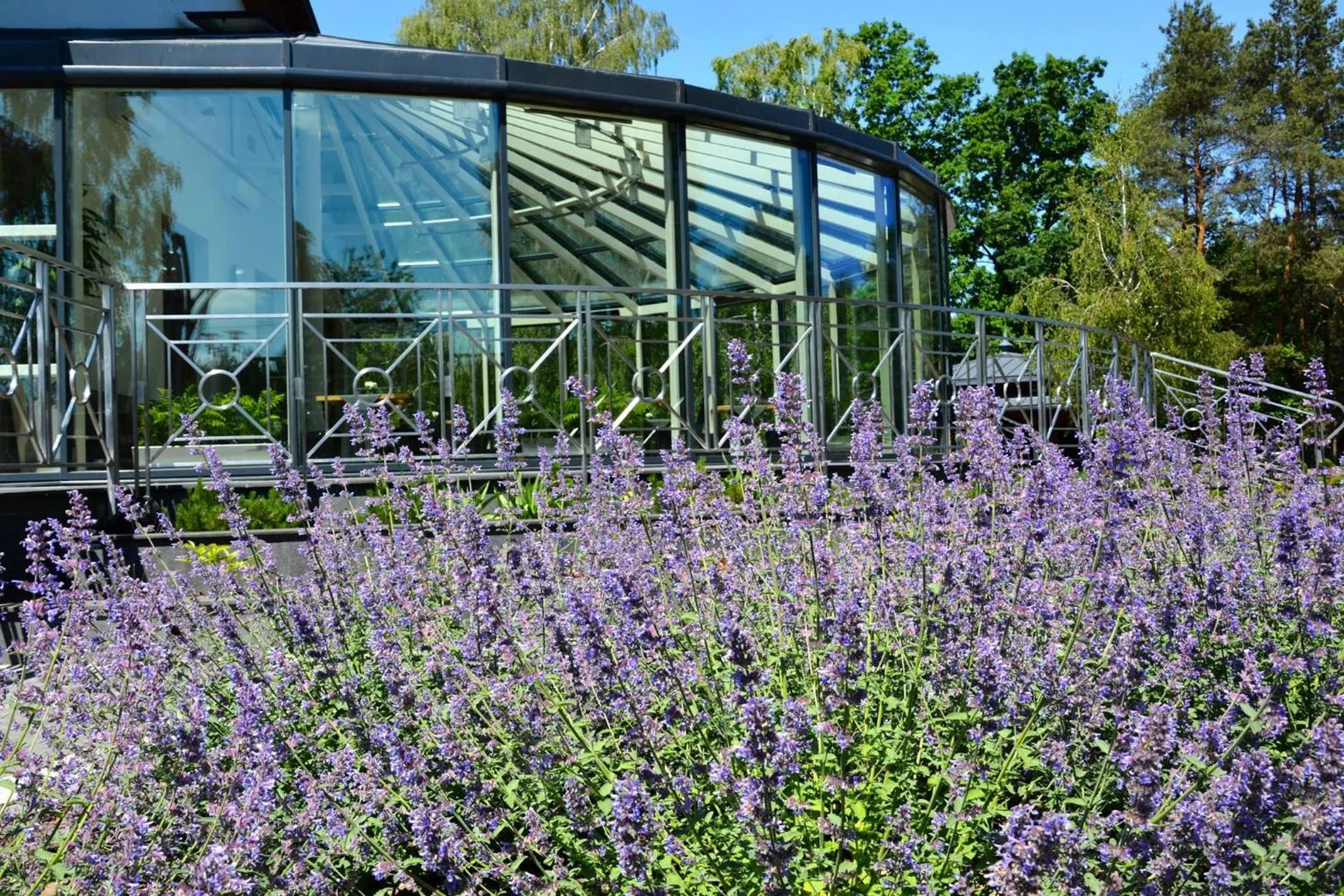 Garden in Hotel KARO