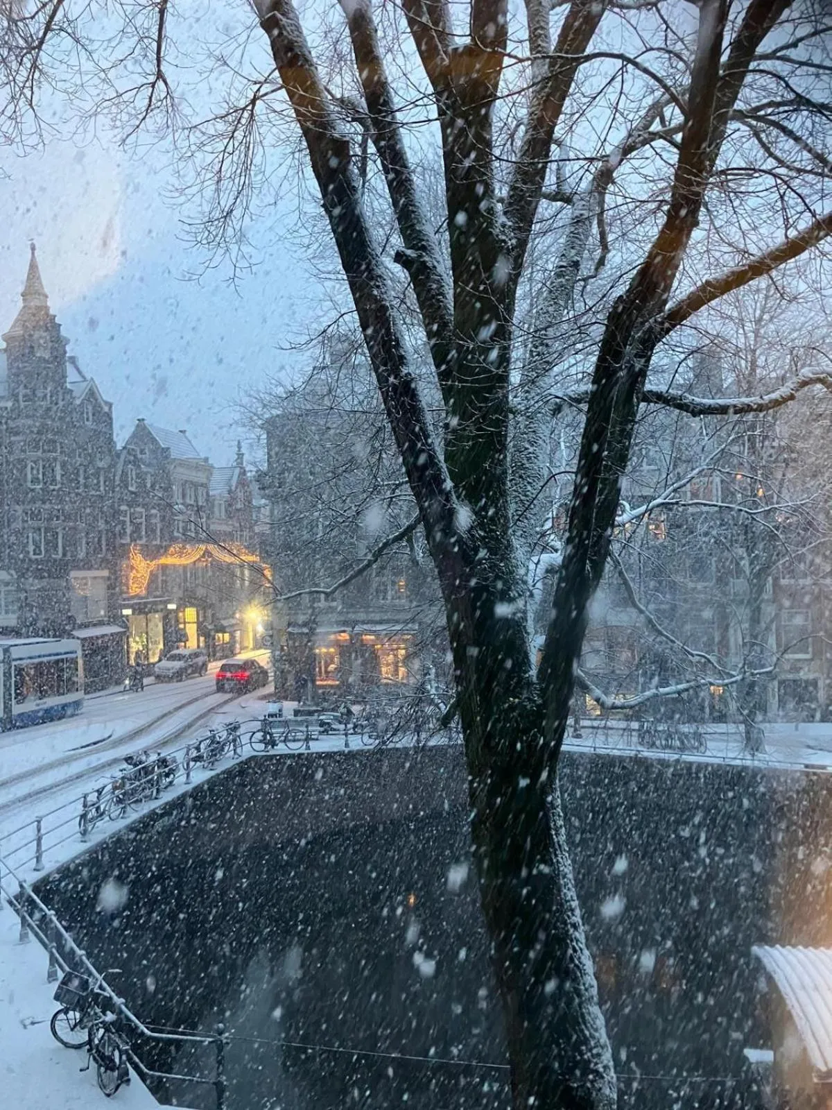 Natural landscape in A B&B Amsterdam