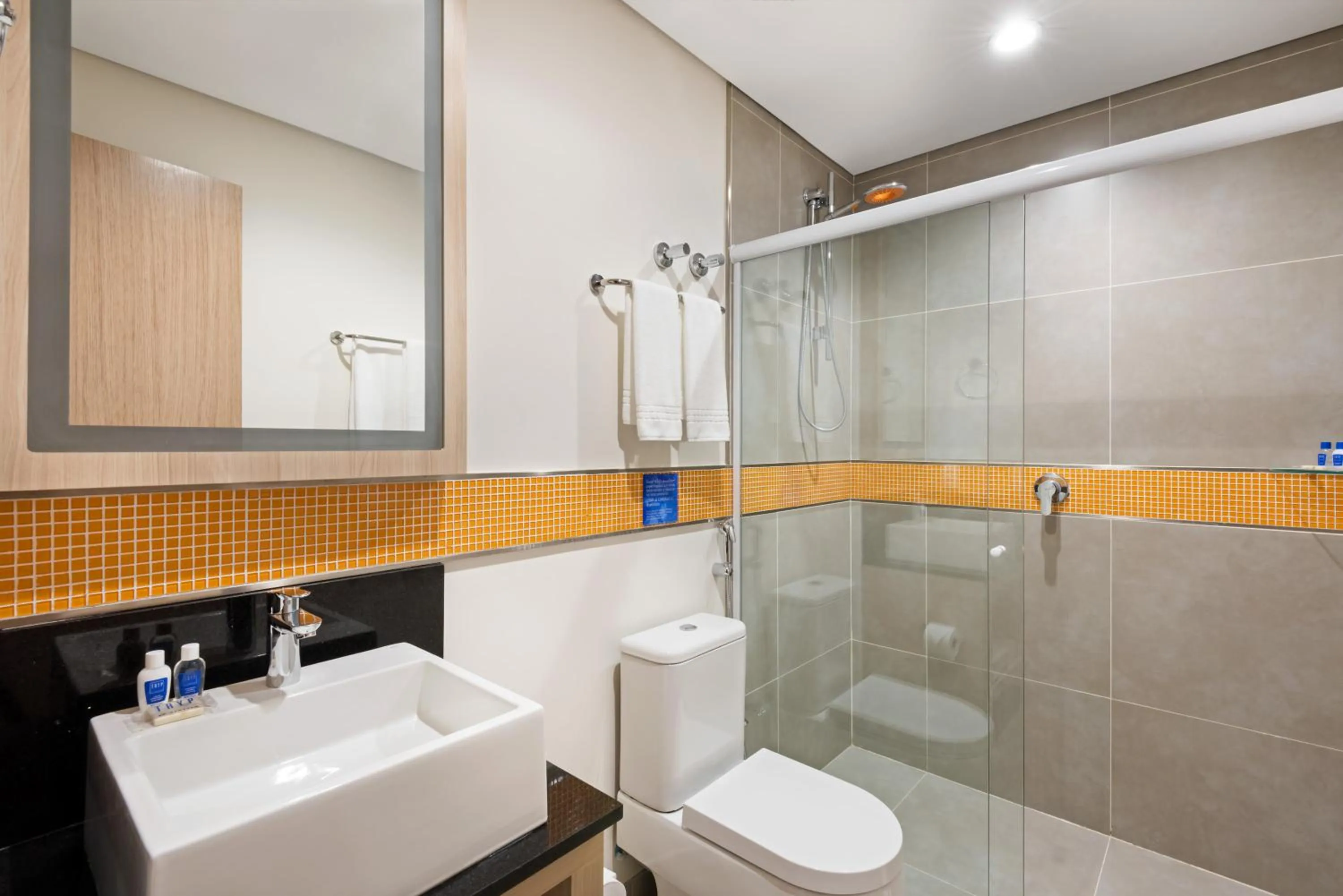 Shower in TRYP BY WYNDHAM São Paulo Airport - Hotel de Transito Terminal 3 -Lado Ar - Área restrita á passageiros já embarcados - Piso 1