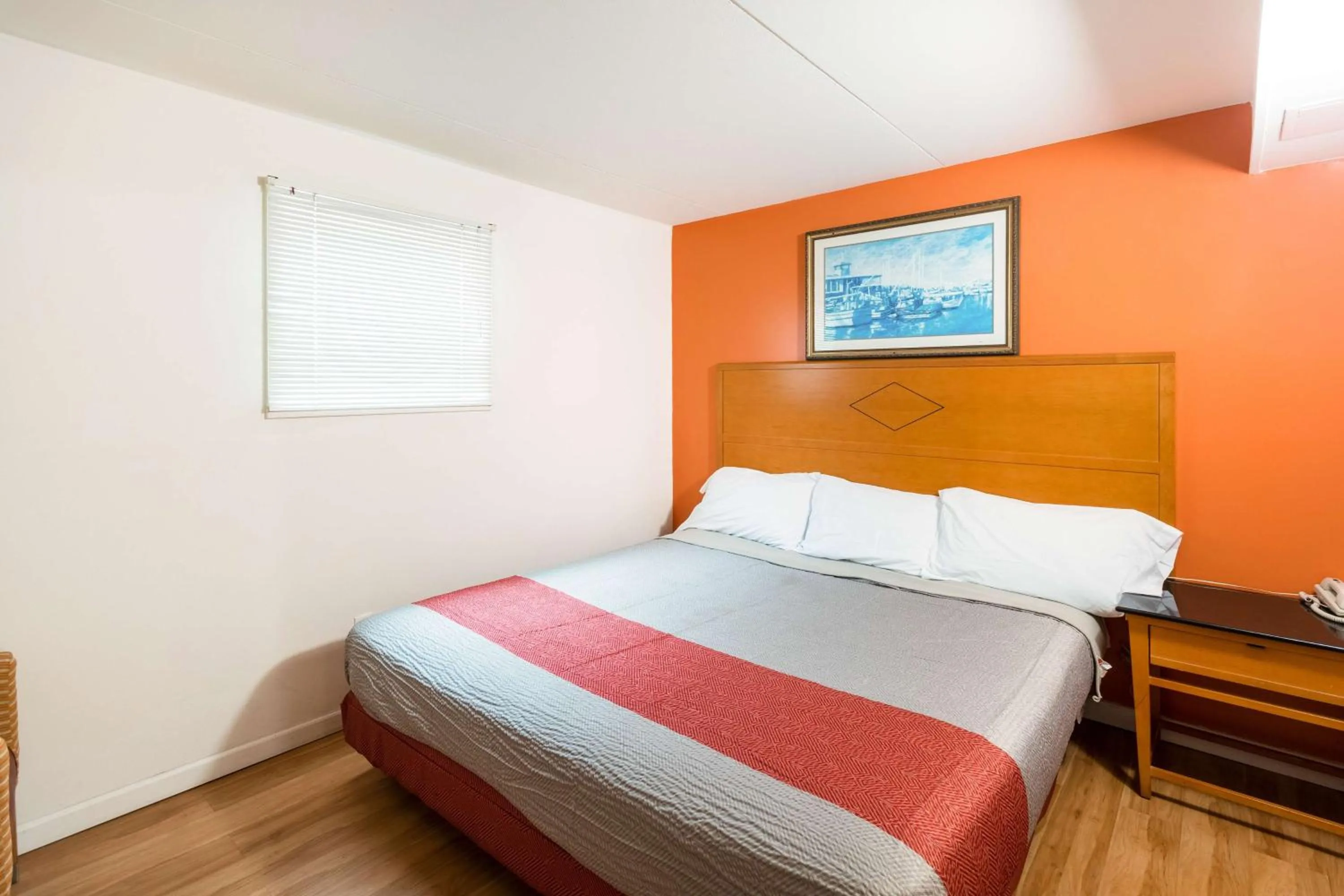 Photo of the whole room in Flamingo Motel