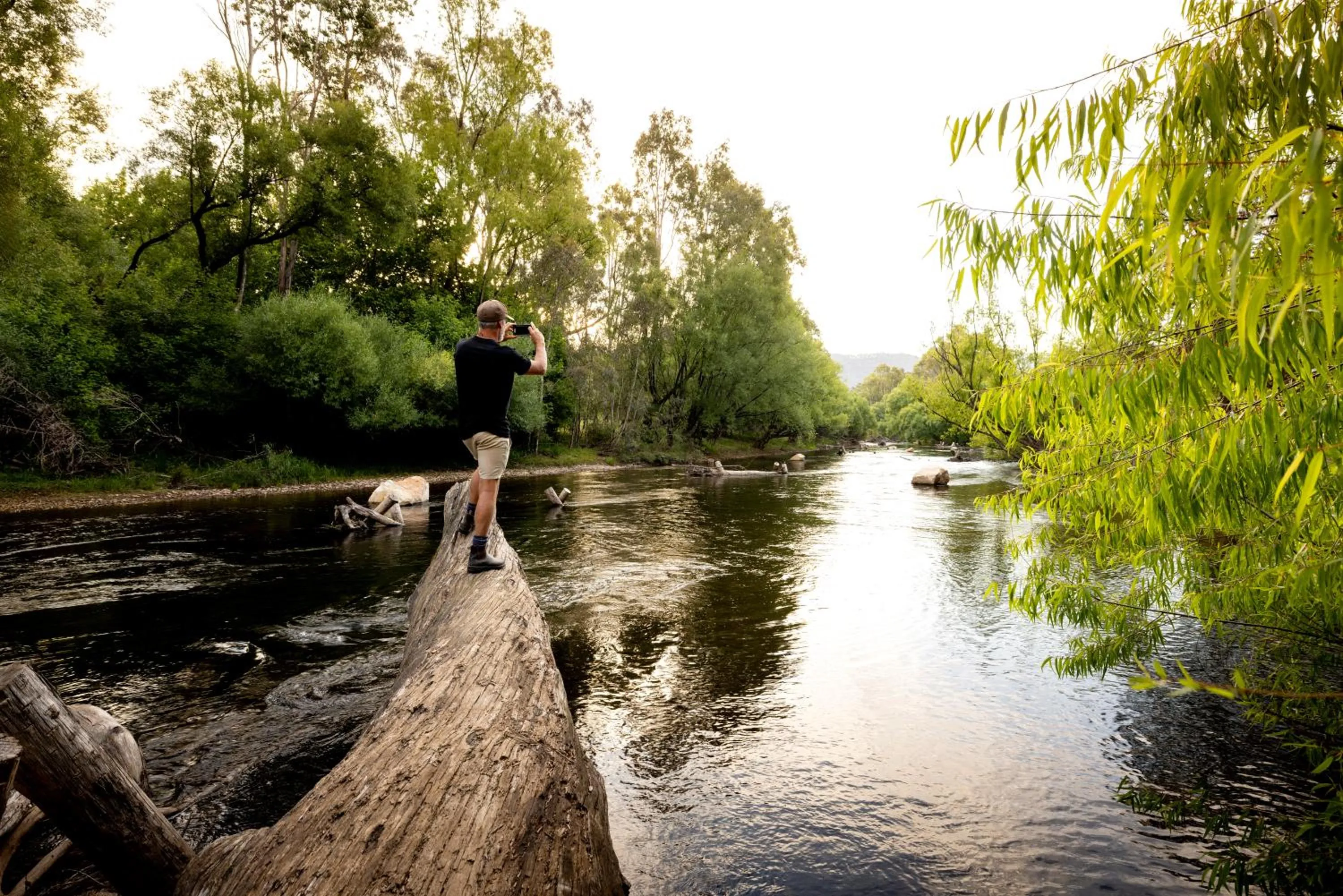 Natural landscape in Bright Porepunkah Holiday Park