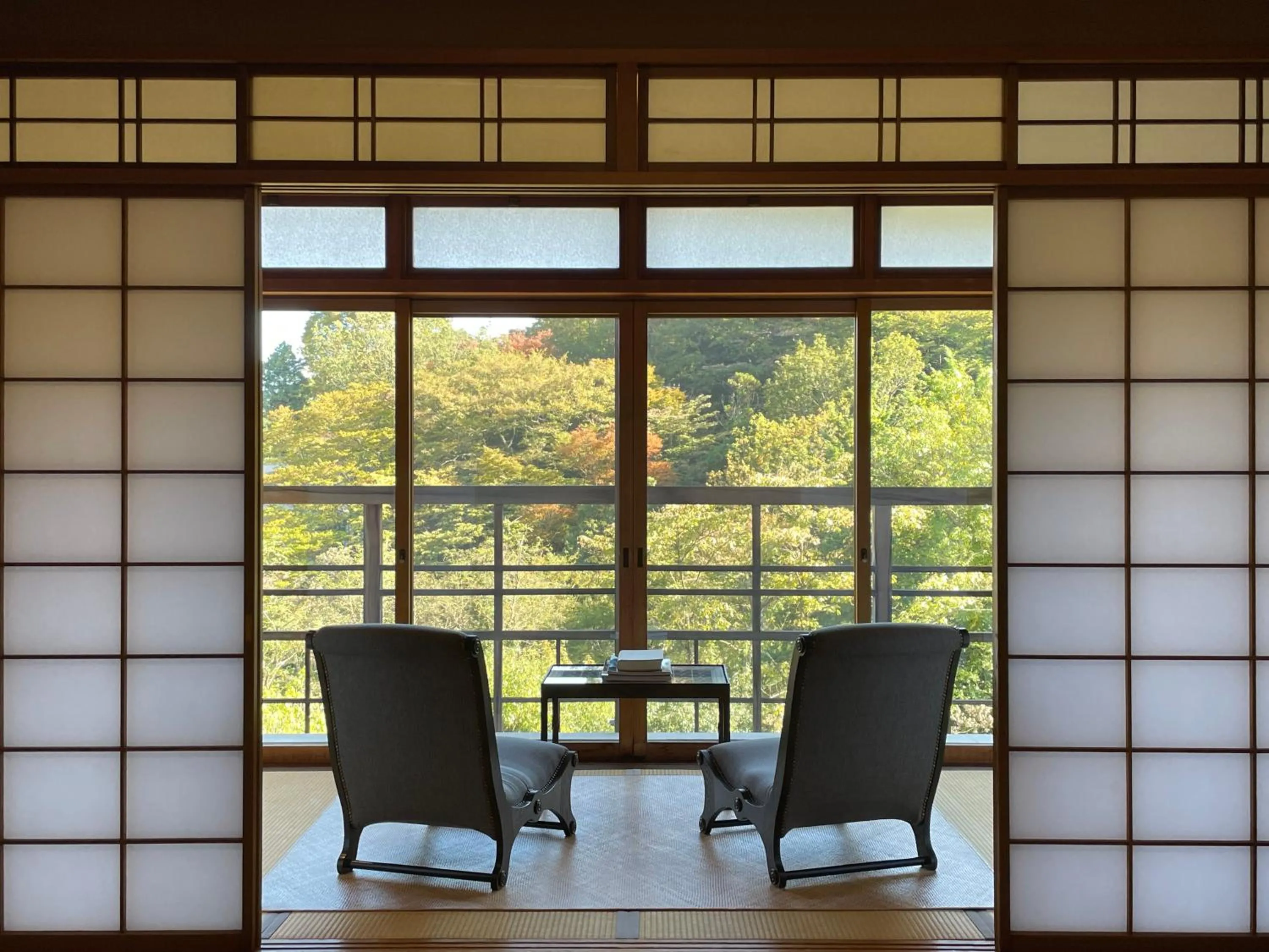 View (from property/room) in Gora Kadan