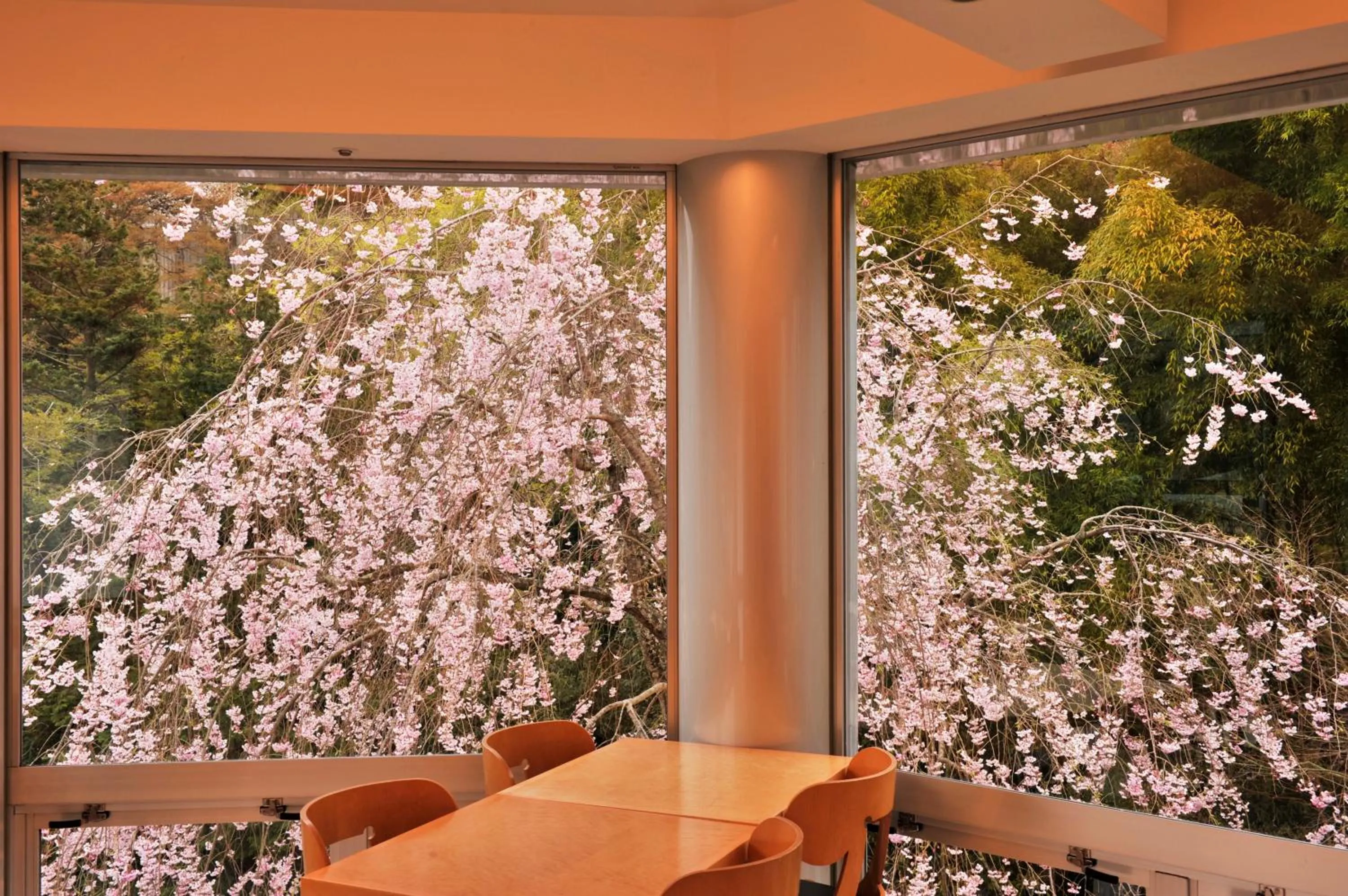 Garden view in Gora Kadan