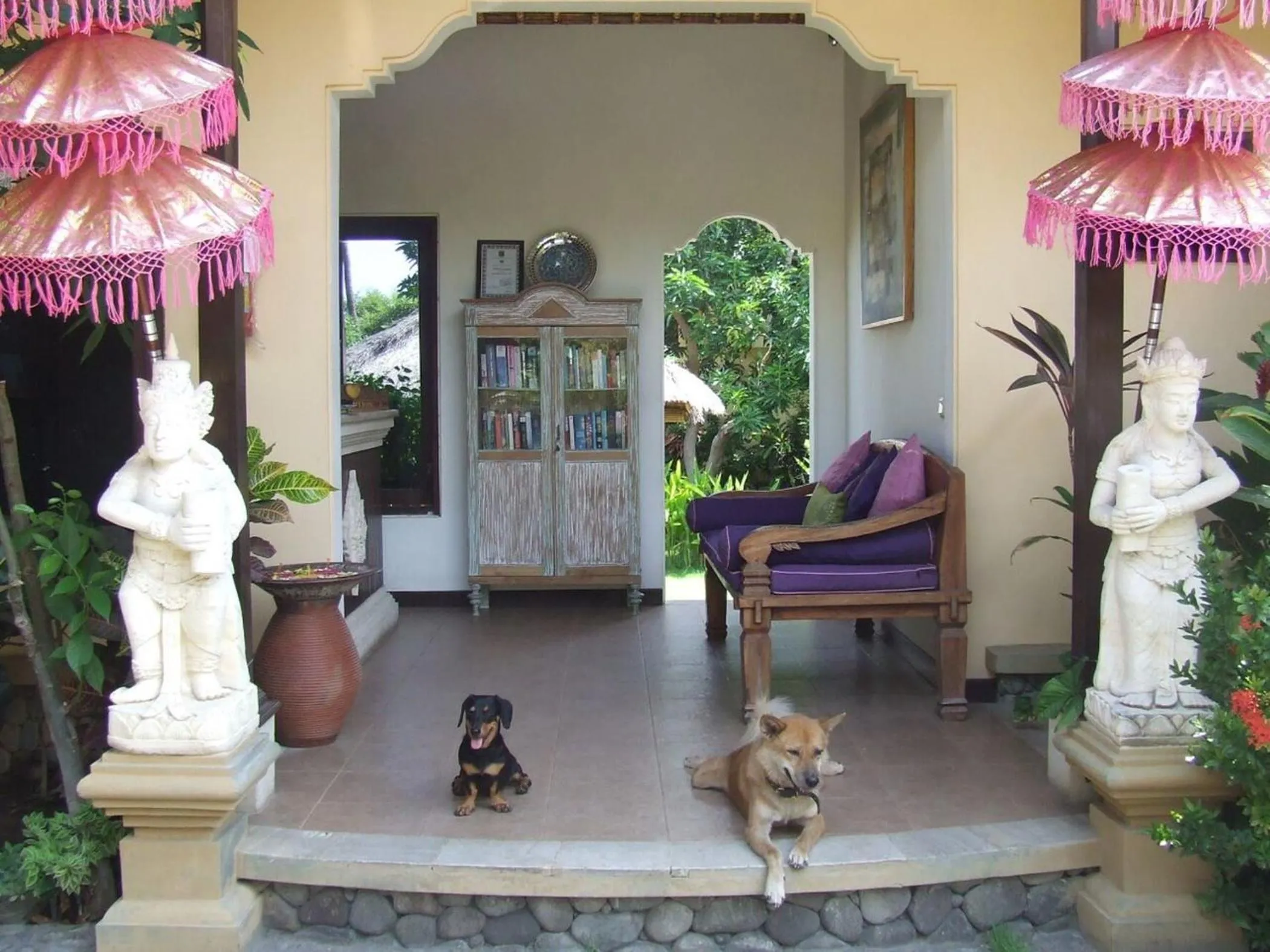 Pets in Life in Amed Beach Hotel