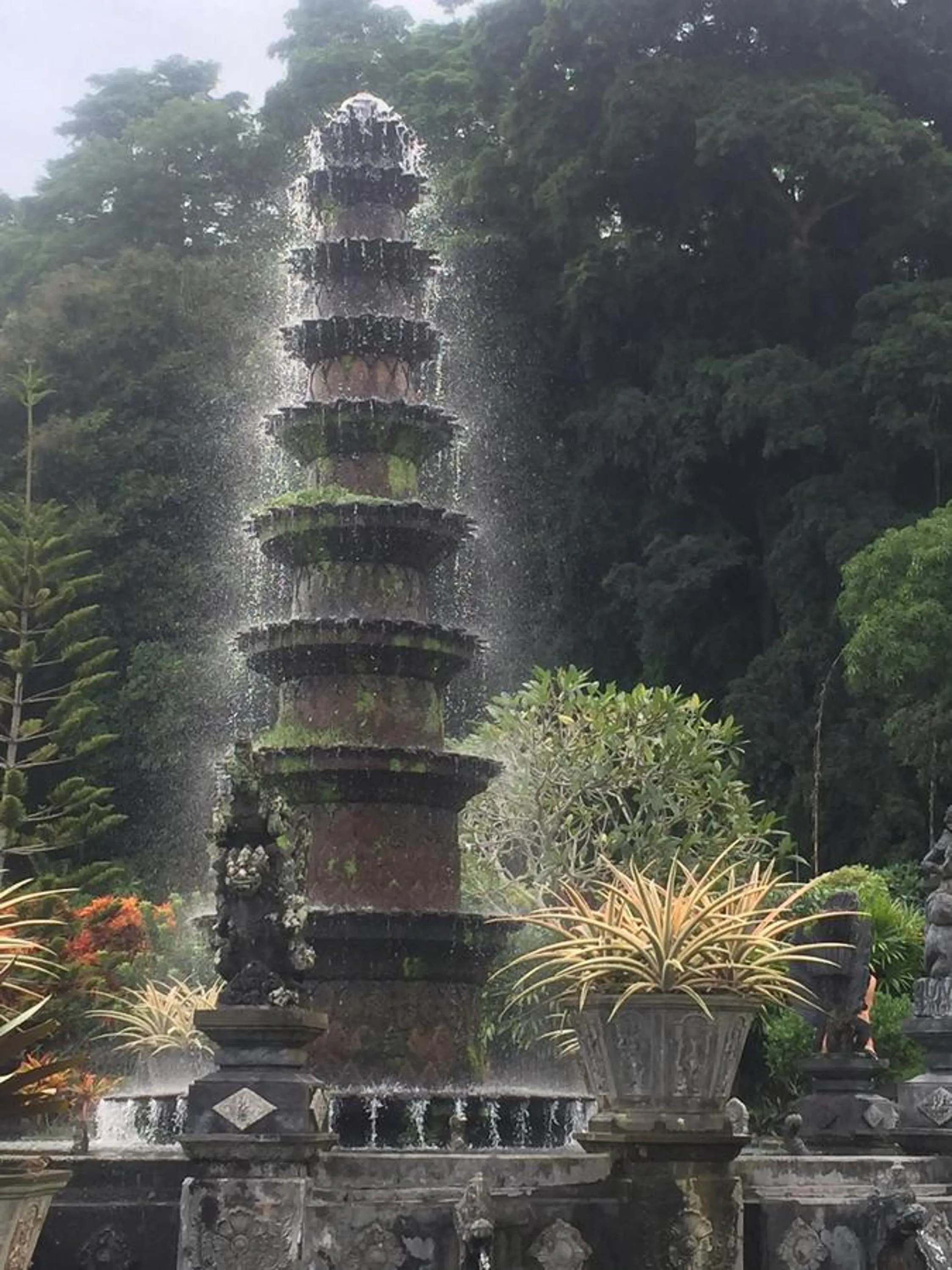 Activities in Life in Amed Beach Hotel