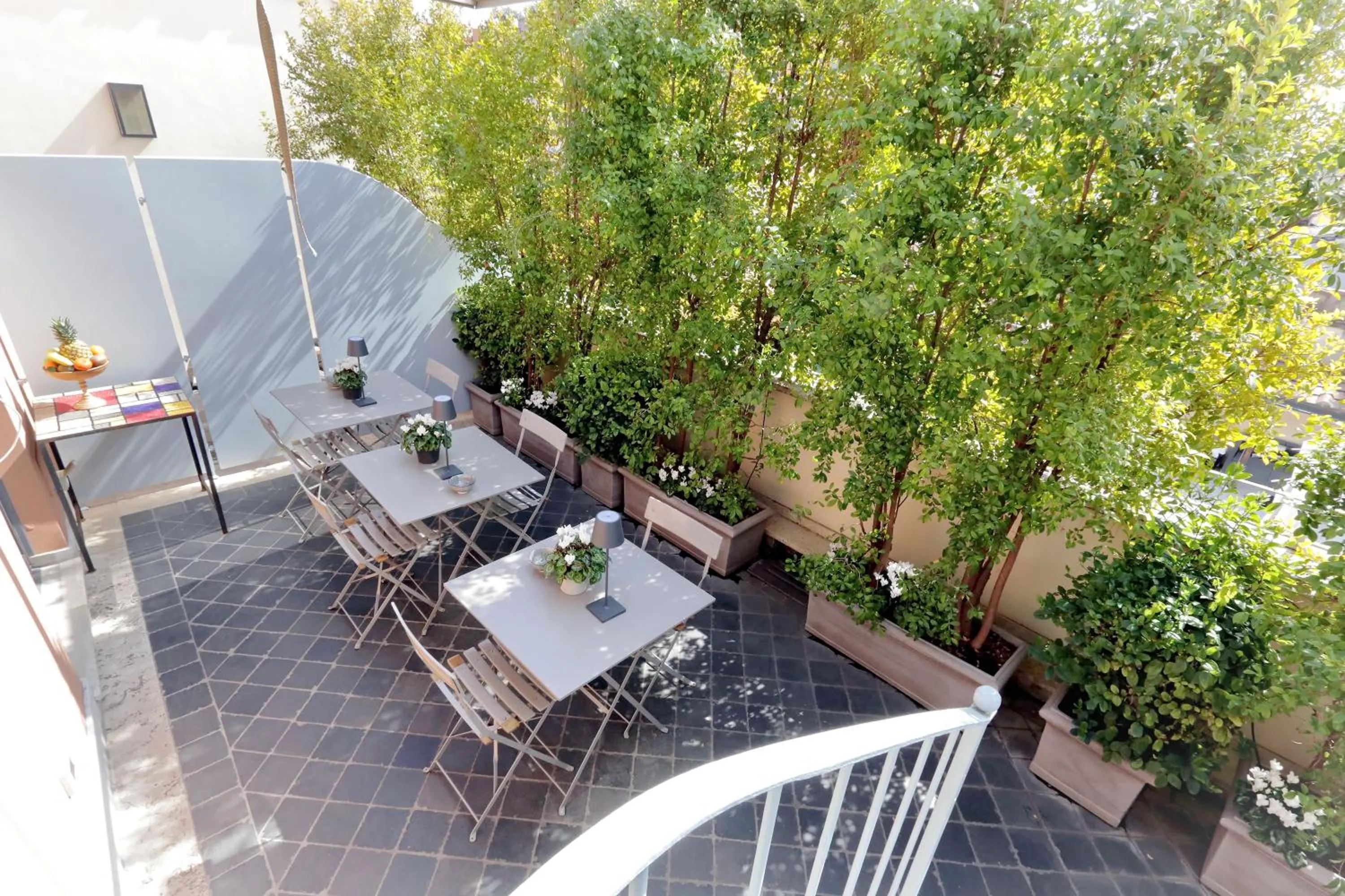 Spring in Rarity Suites