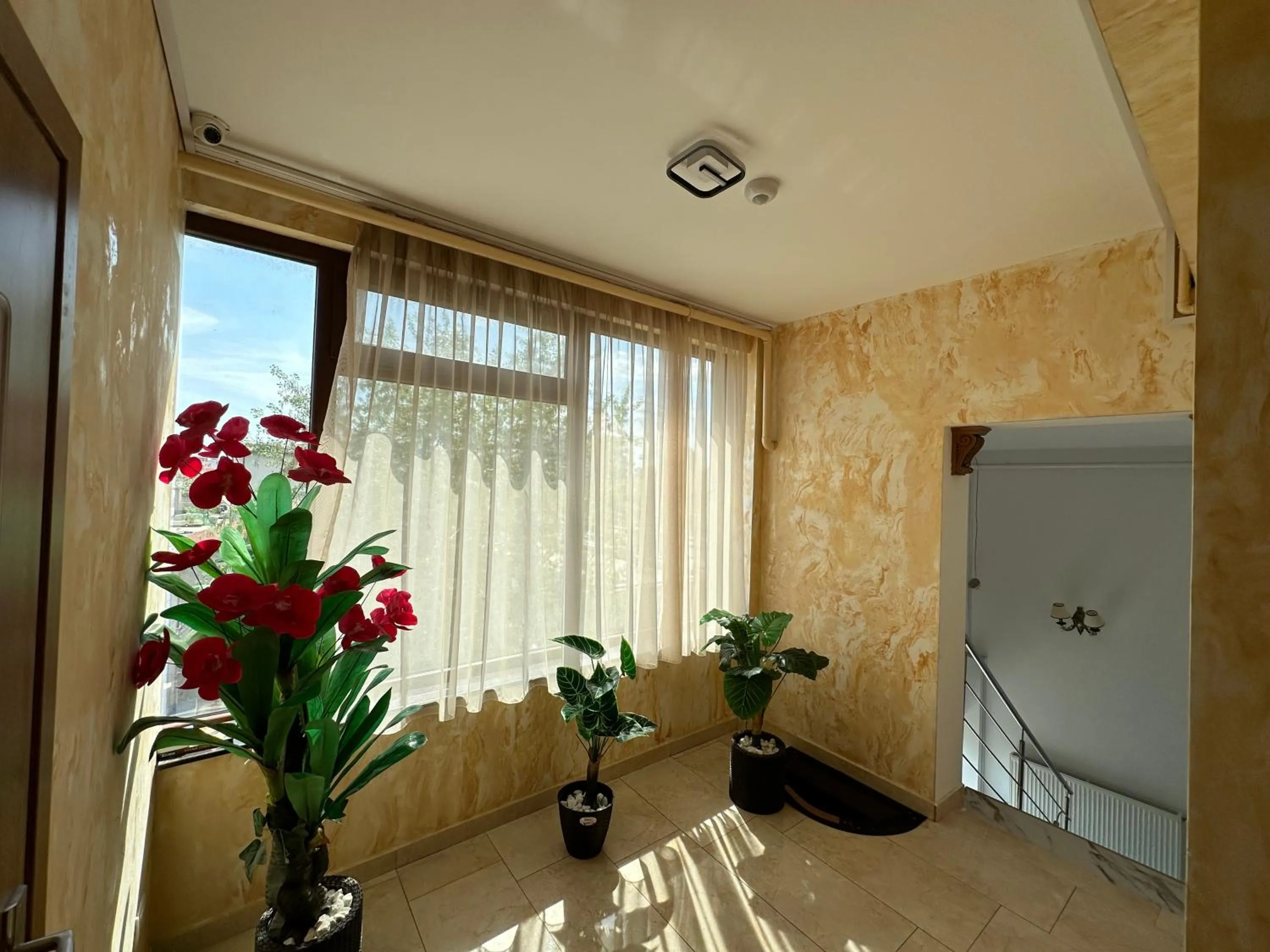 Casa Roma