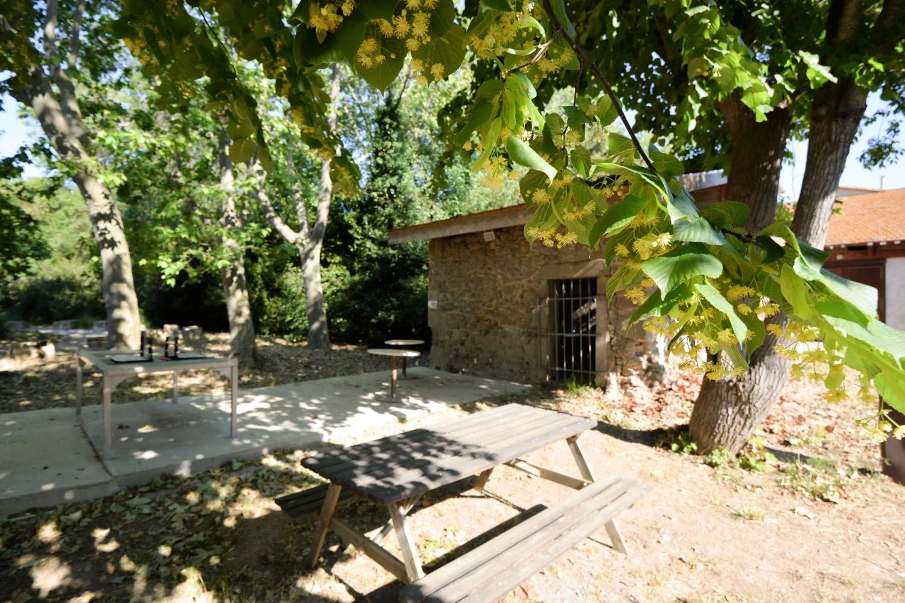 Garden in La Résidence du Château de Jouarres