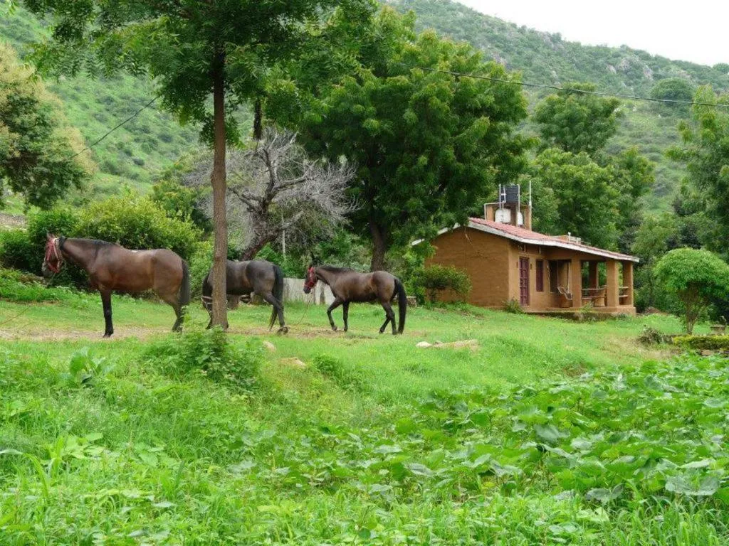 Pets in Krishna Ranch