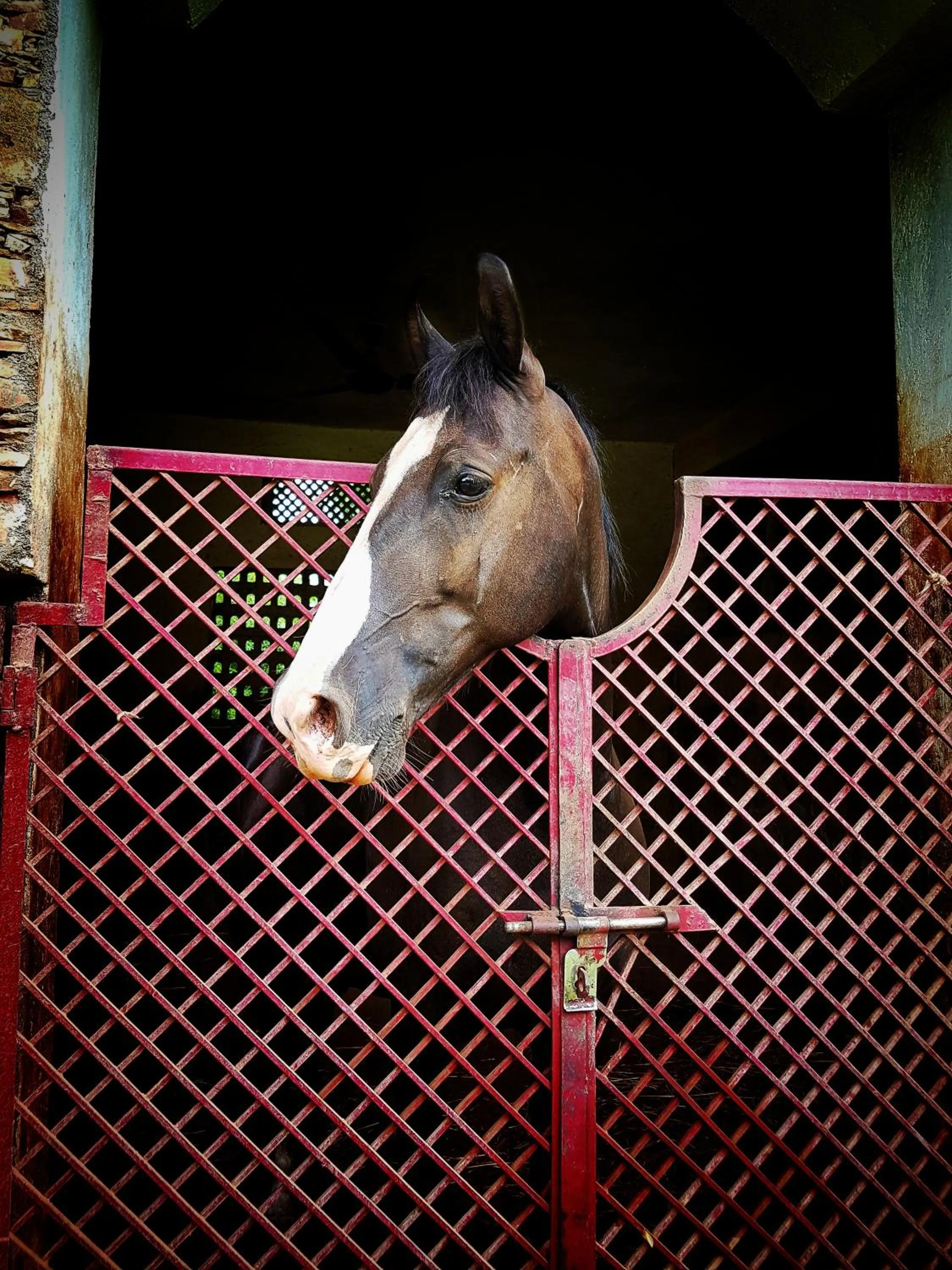 Krishna Ranch