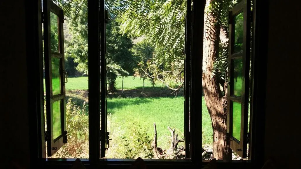 View (from property/room) in Krishna Ranch