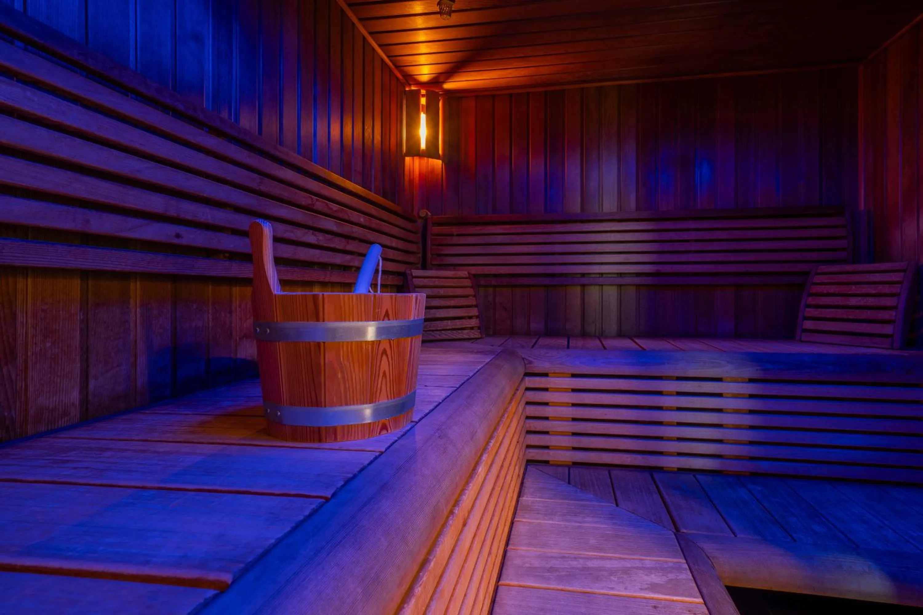 Sauna in Hotel u Ledu
