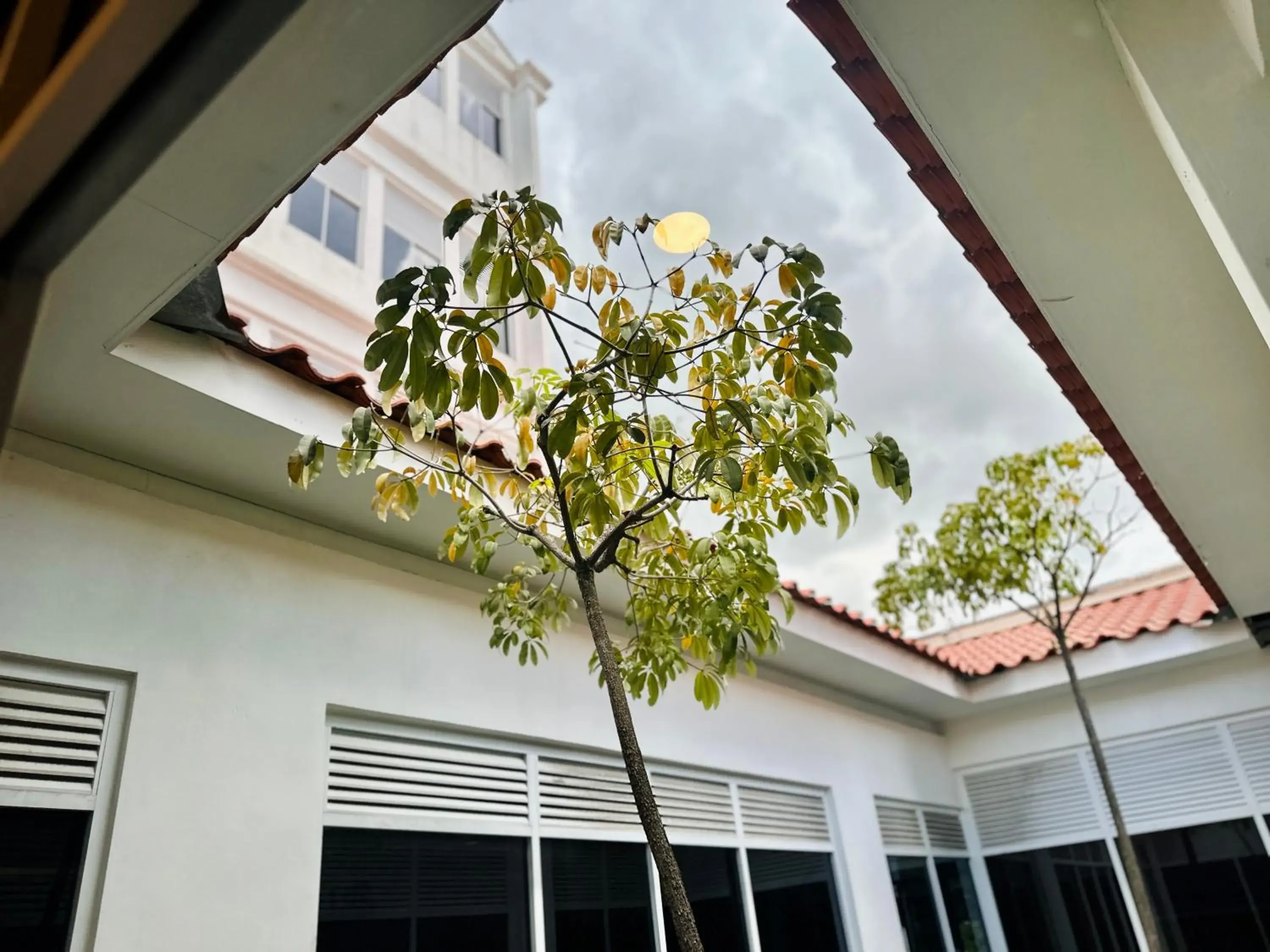 View (from property/room) in C Y C Heritage Hotel View (from property/room) in C Y C Heritage Hotel