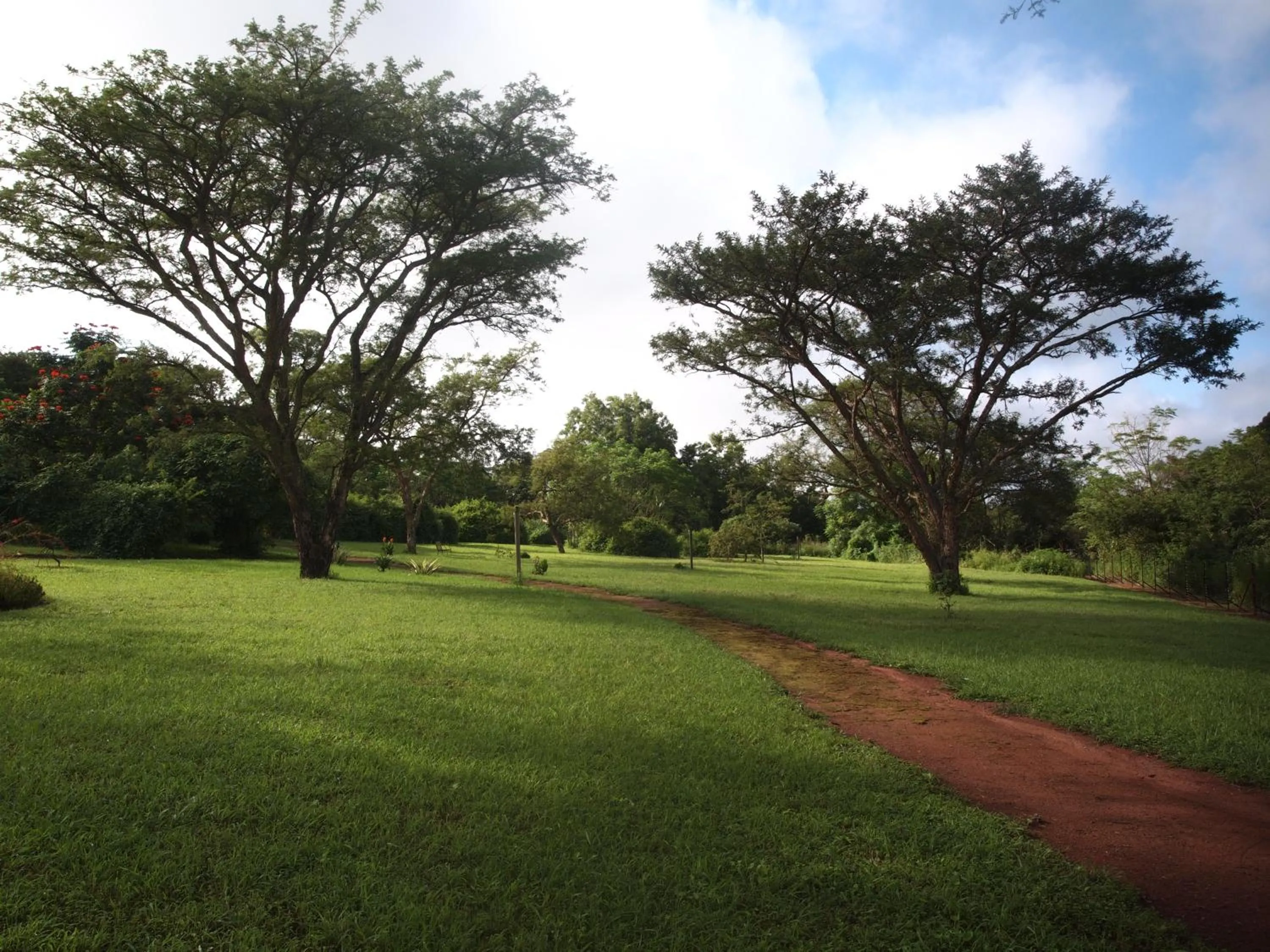 Summer in Thokozani Lodge