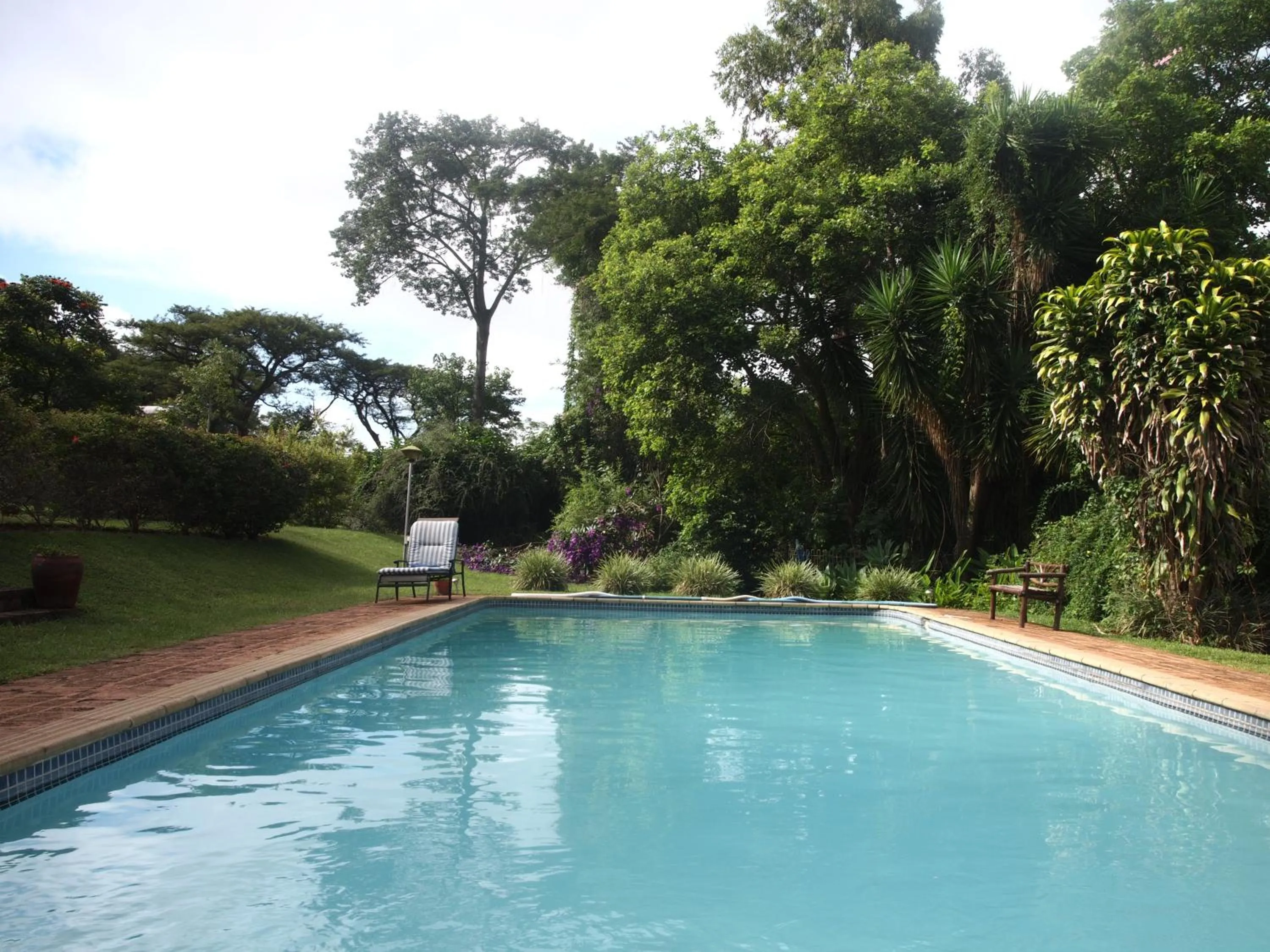 Summer in Thokozani Lodge