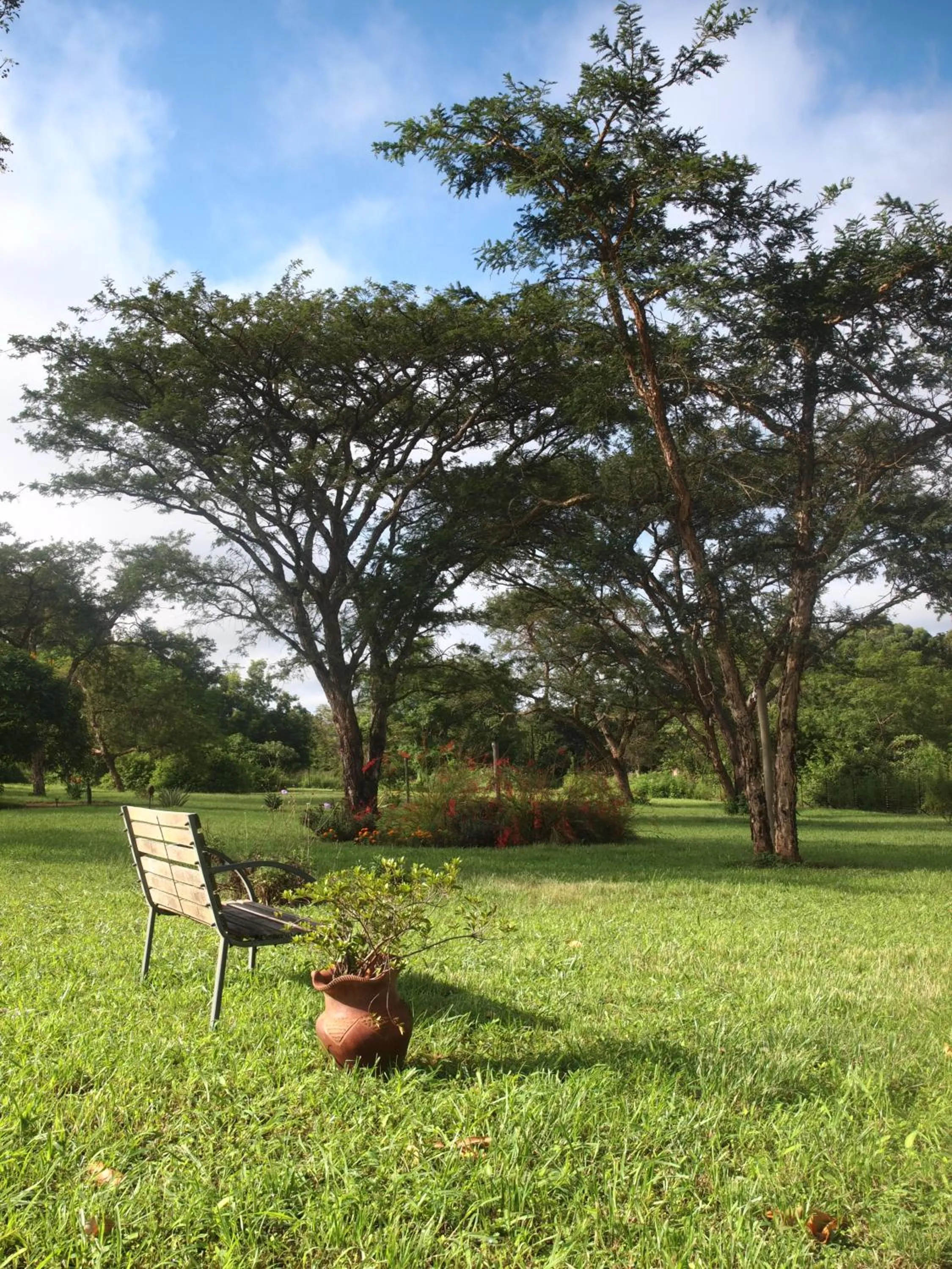 Summer in Thokozani Lodge