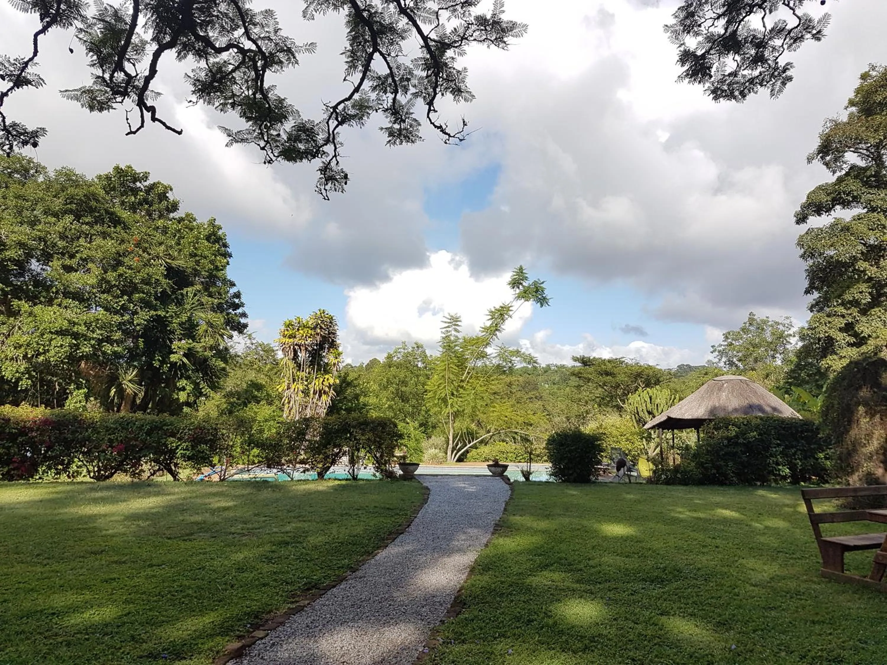 Garden in Thokozani Lodge