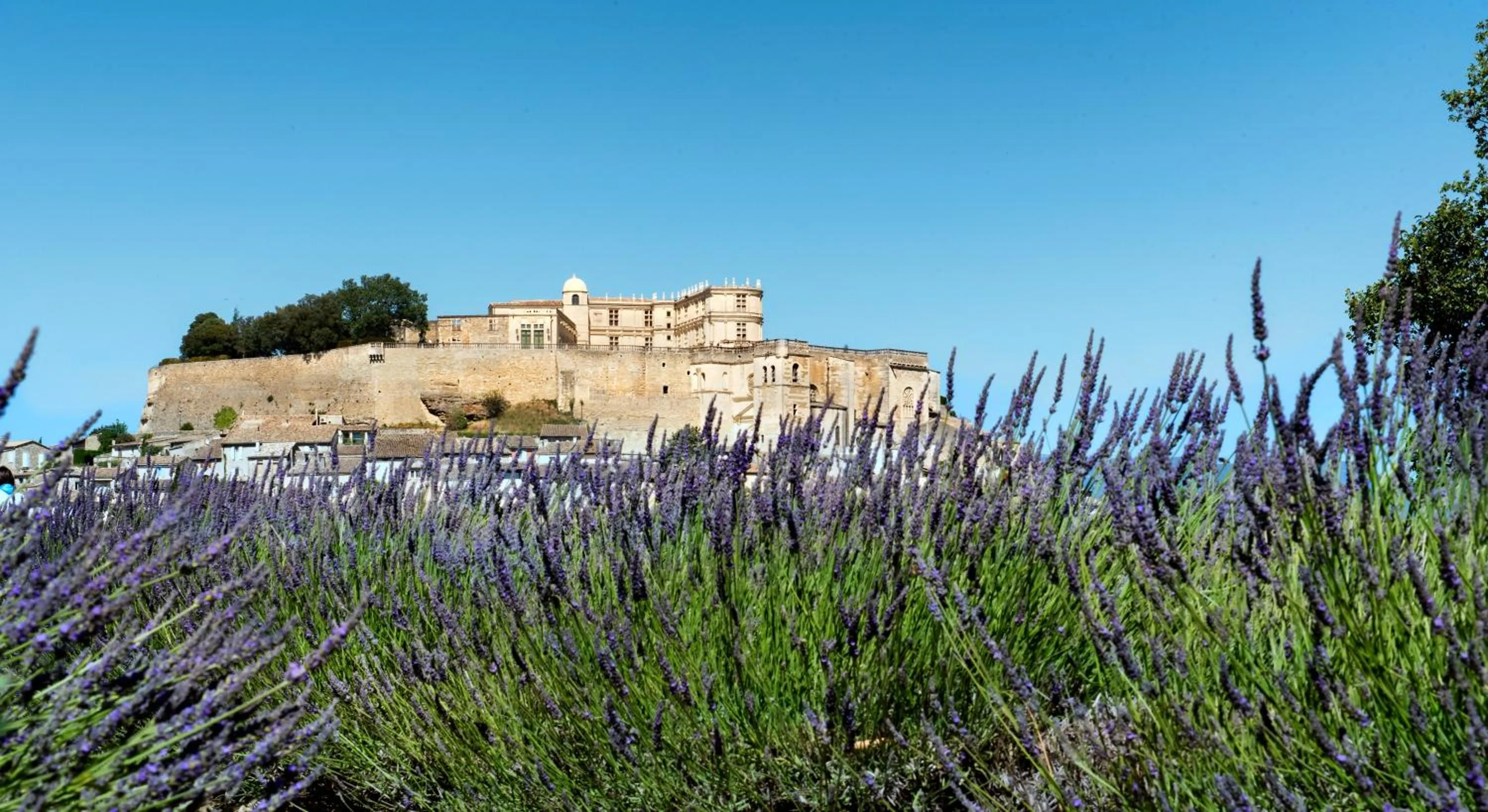 Nearby landmark in La Ferme Chapouton - Teritoria