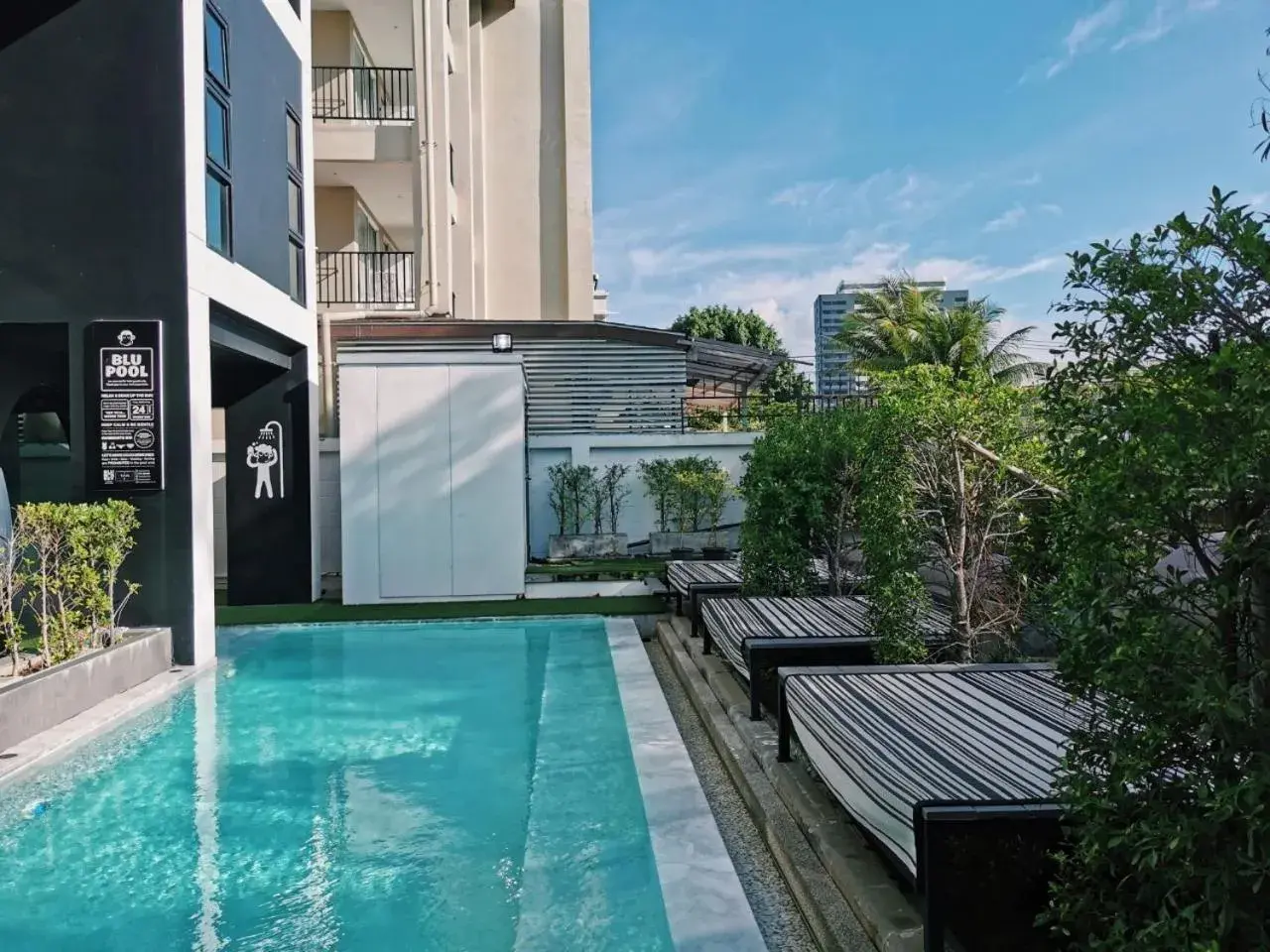 Swimming pool in Blu Monkey Hub and Hotel Phuket Town- Free All Day Coworking space Swimming pool in Blu Monkey Hub and Hotel Phuket Town- Free All Day Coworking space