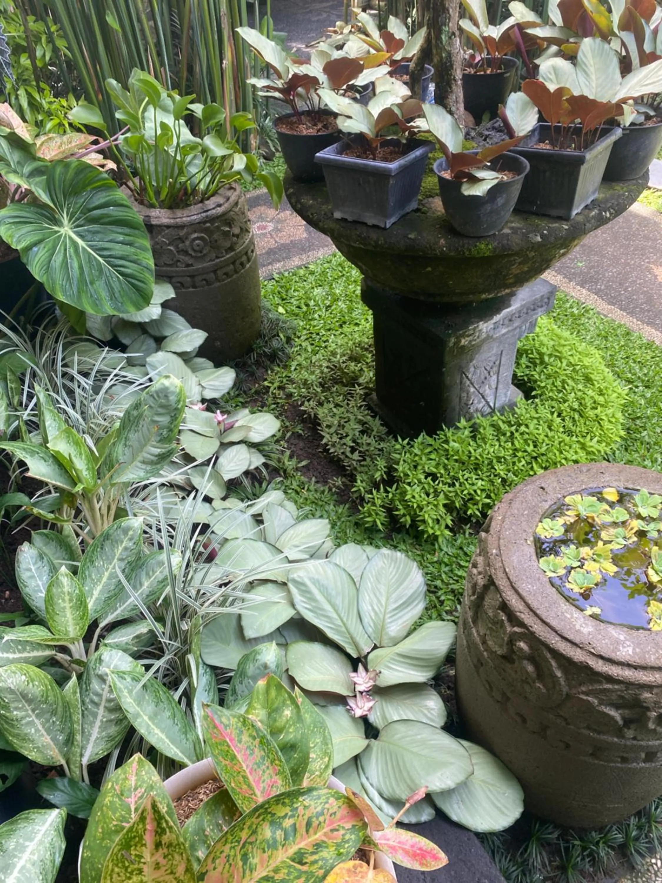 Suryadina Guest House