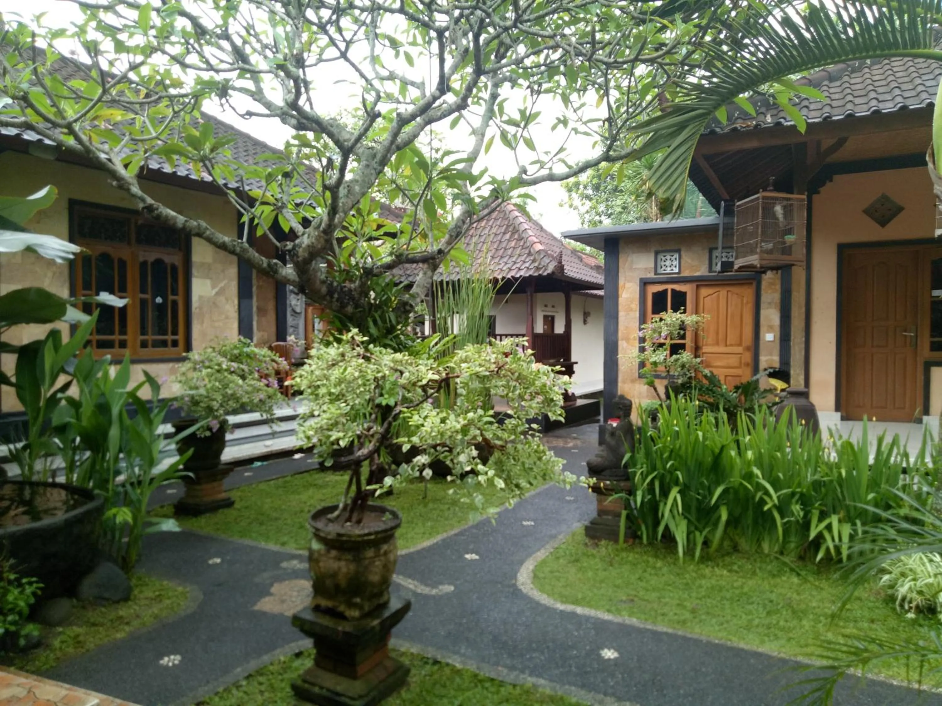 Garden in Suryadina Guest House