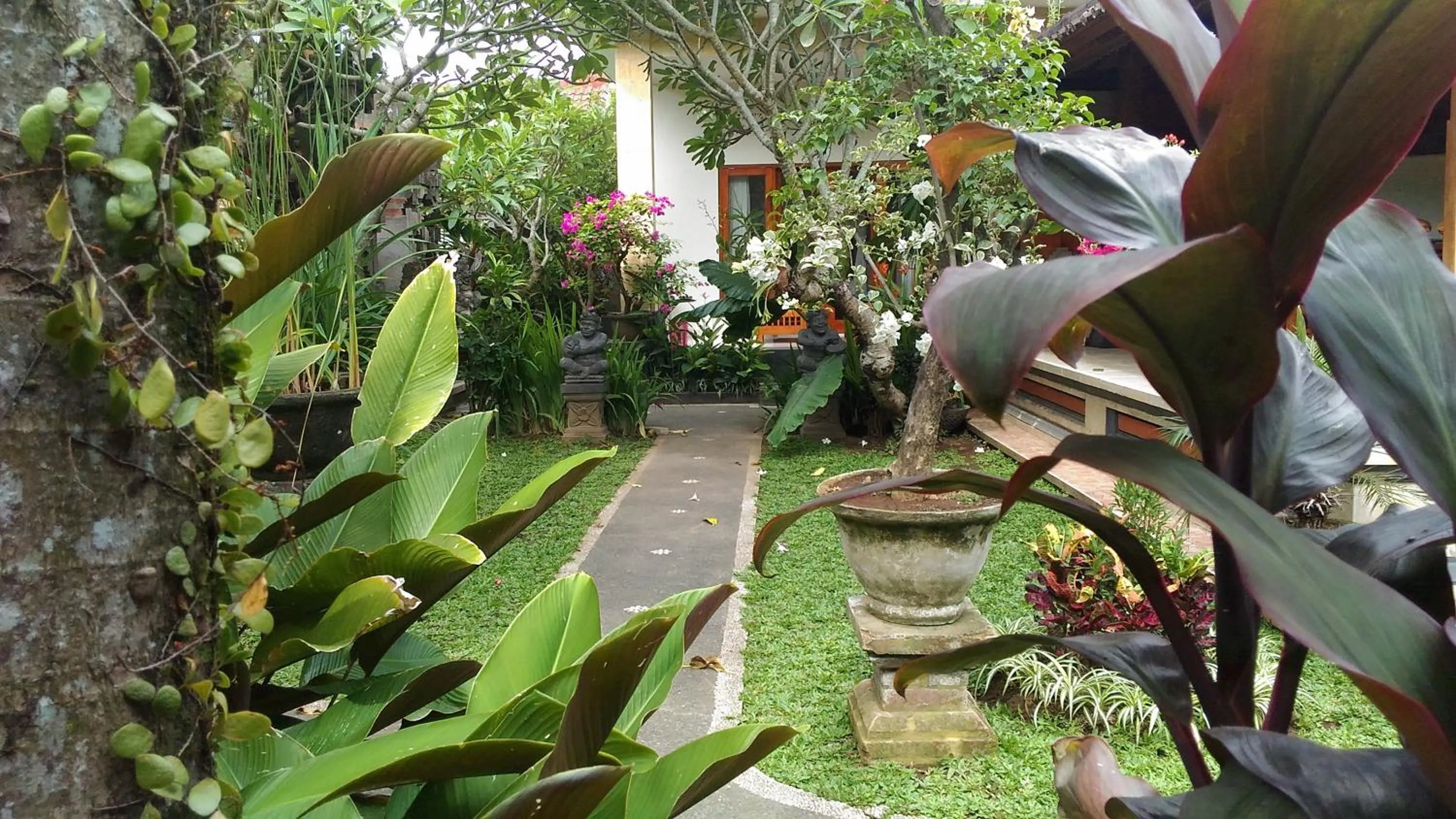 Natural landscape in Suryadina Guest House