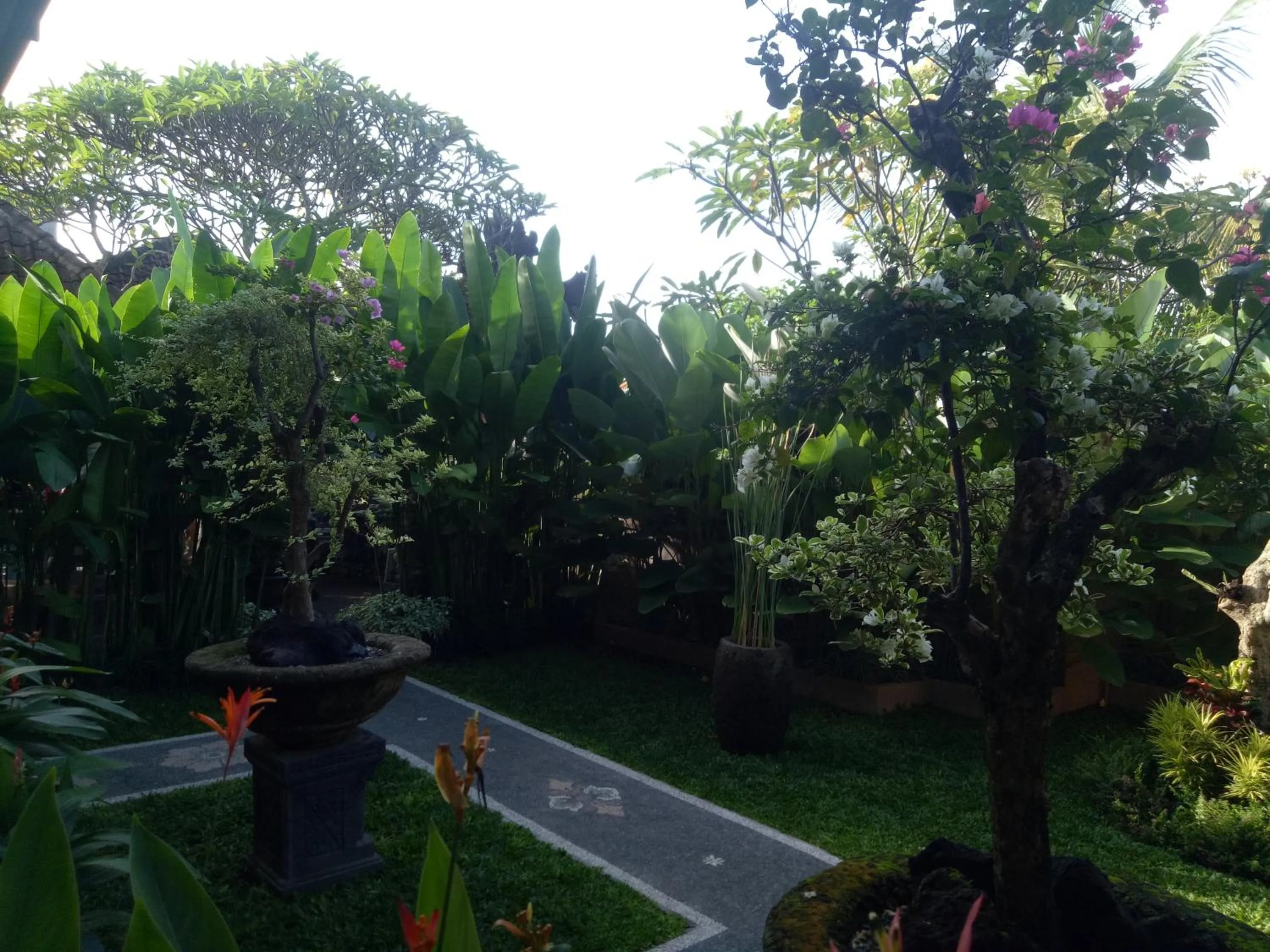 Suryadina Guest House