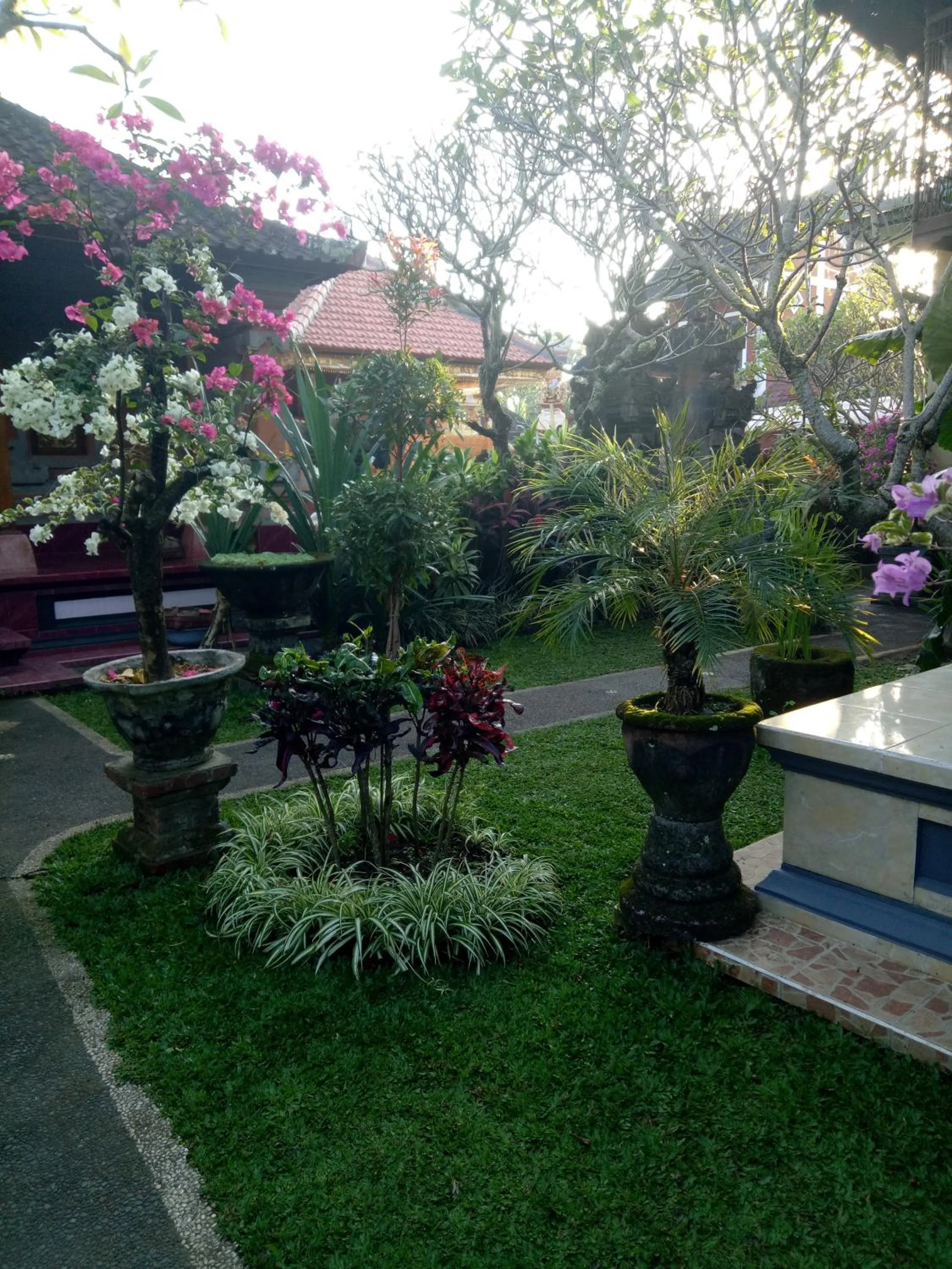 Garden view in Suryadina Guest House