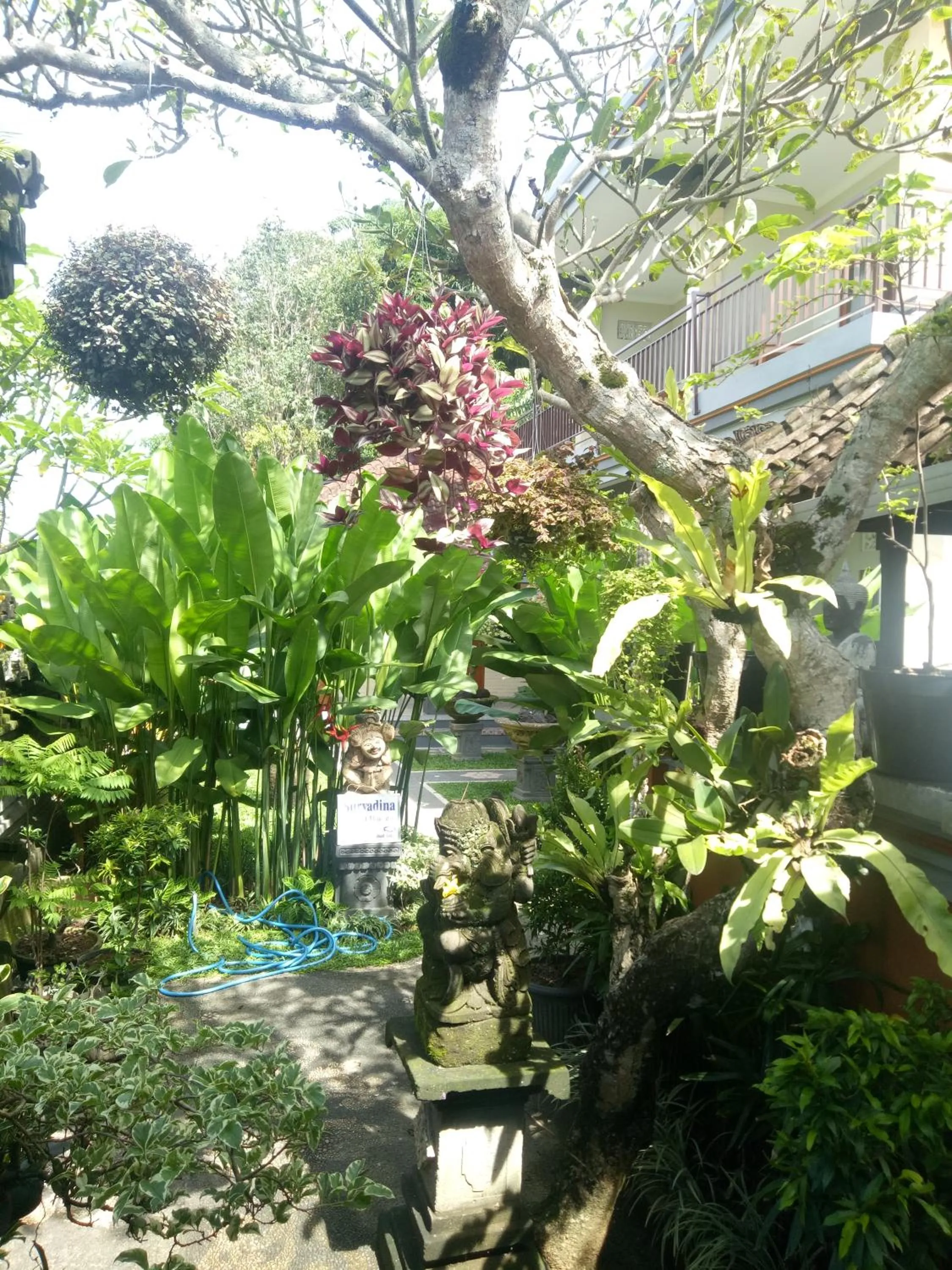 Suryadina Guest House