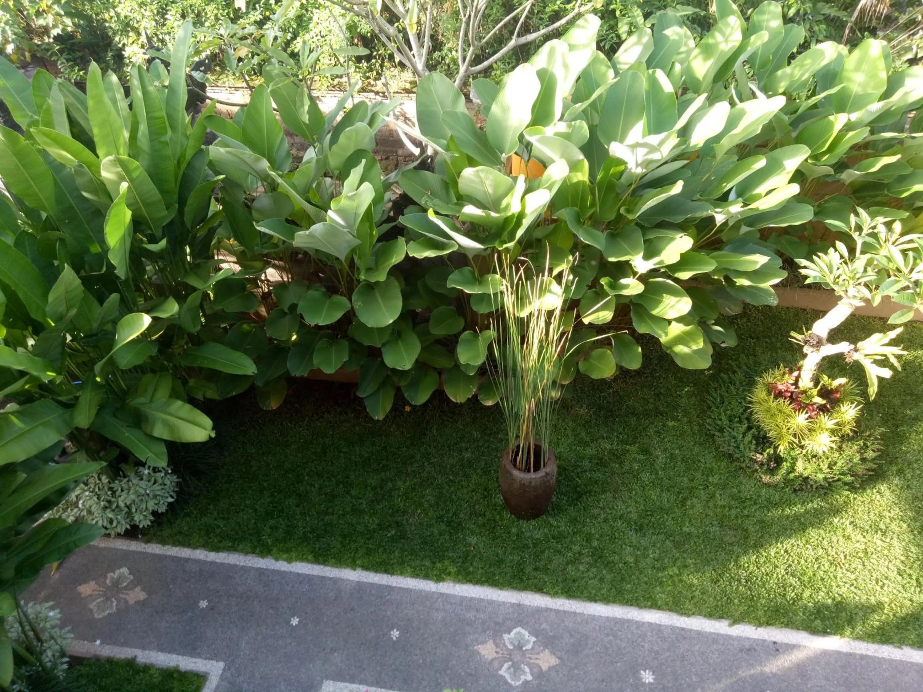 Suryadina Guest House