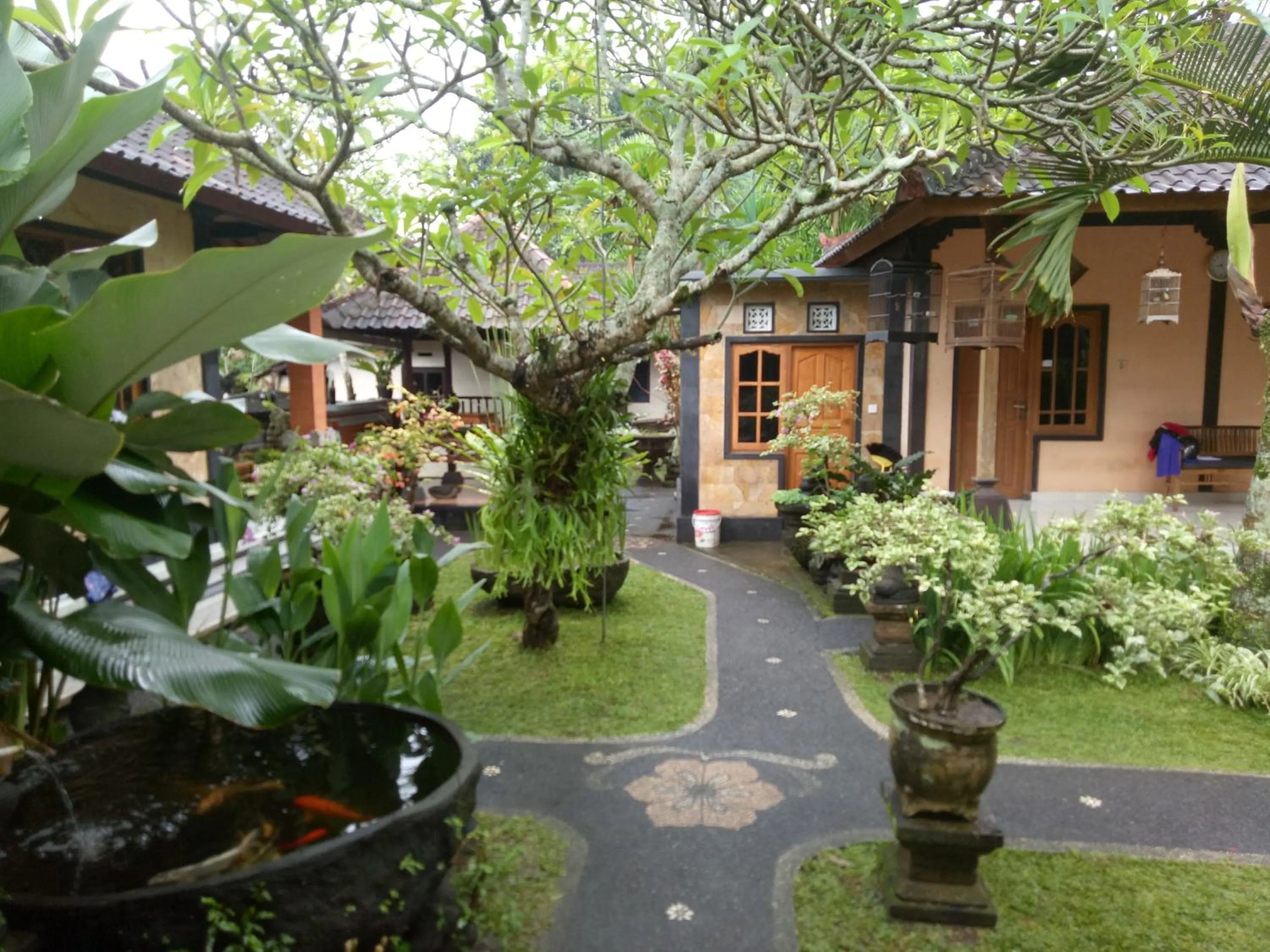 Garden view in Suryadina Guest House