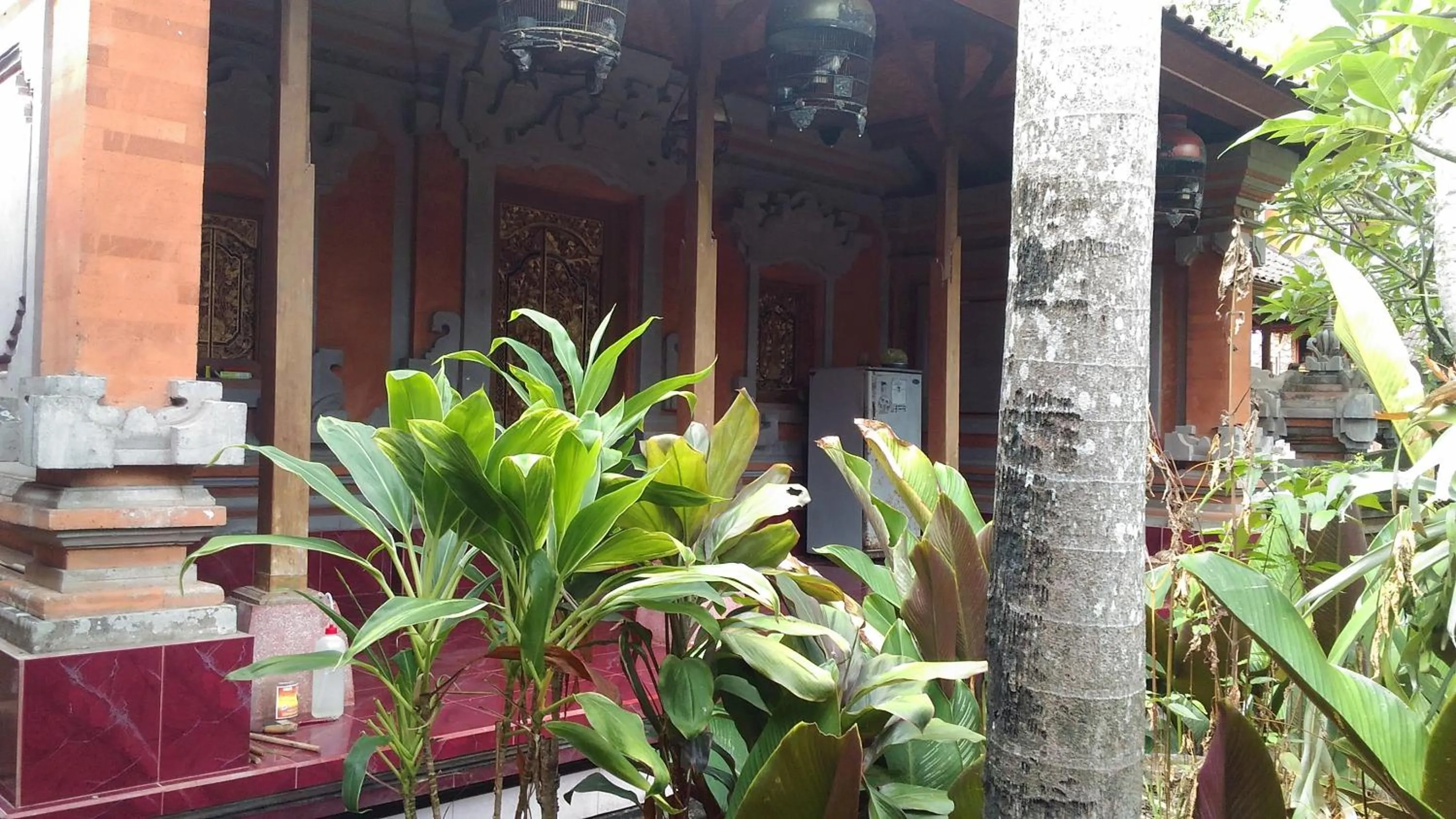 Natural landscape in Suryadina Guest House