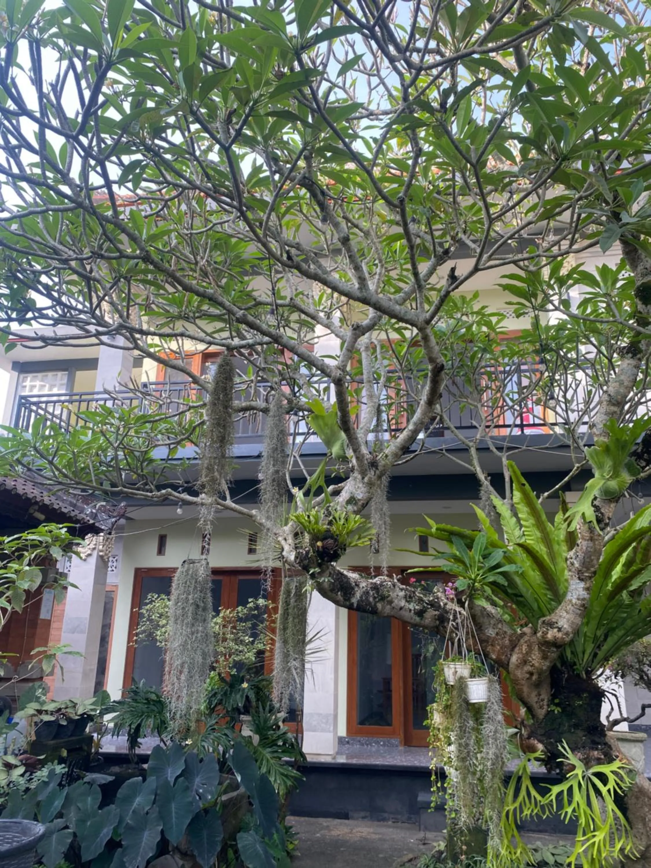 Suryadina Guest House