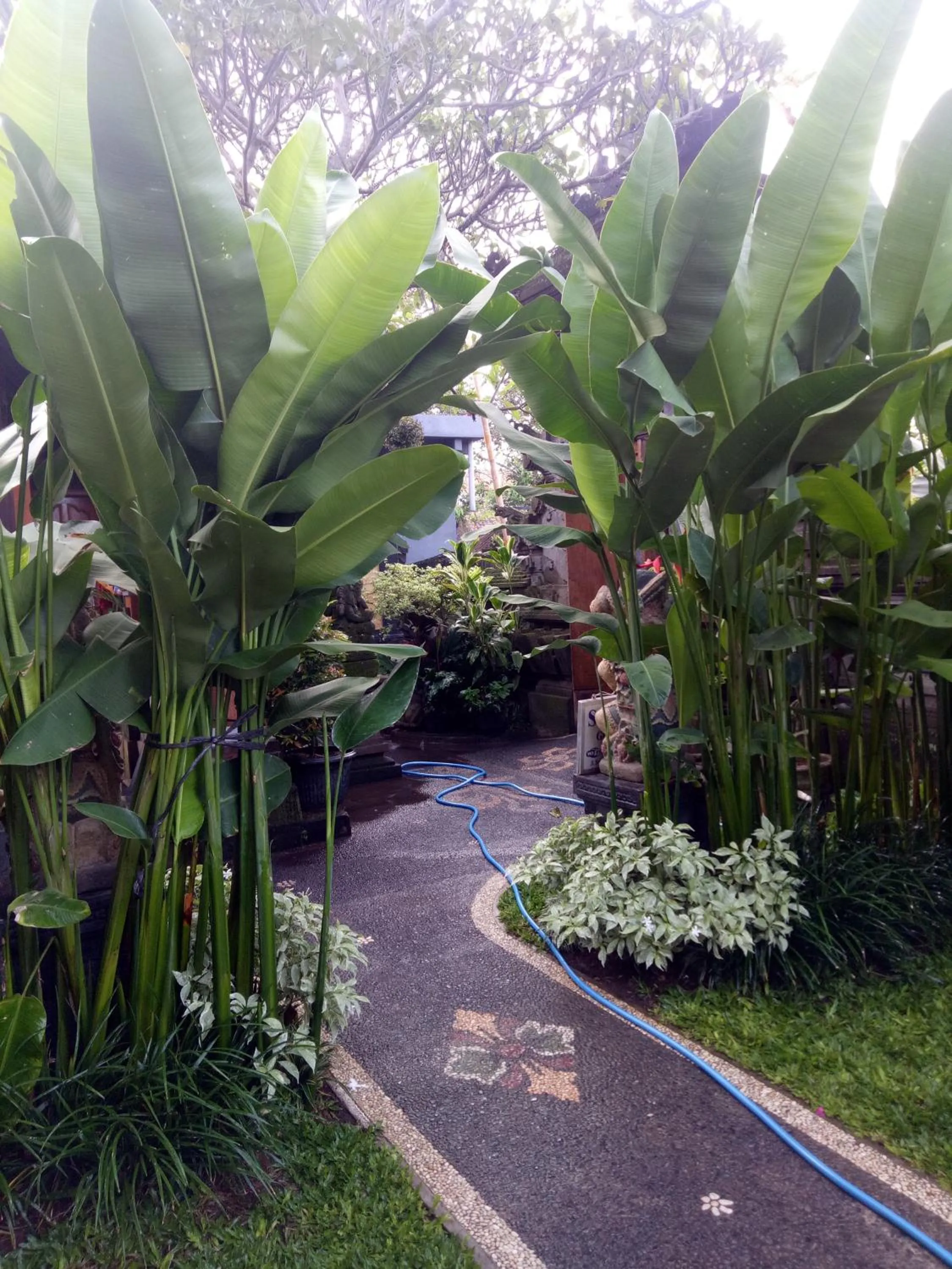 Suryadina Guest House