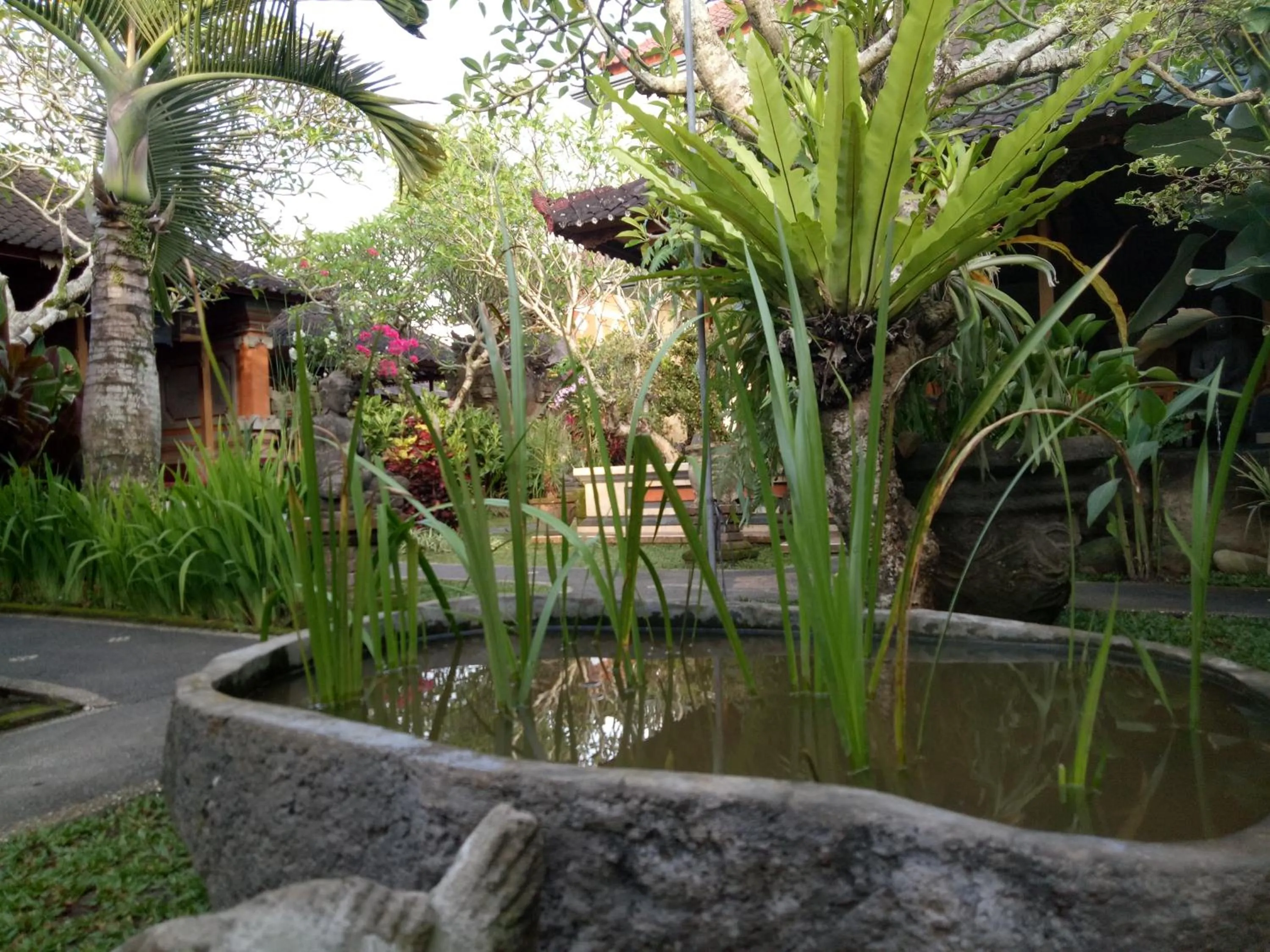 Garden view in Suryadina Guest House