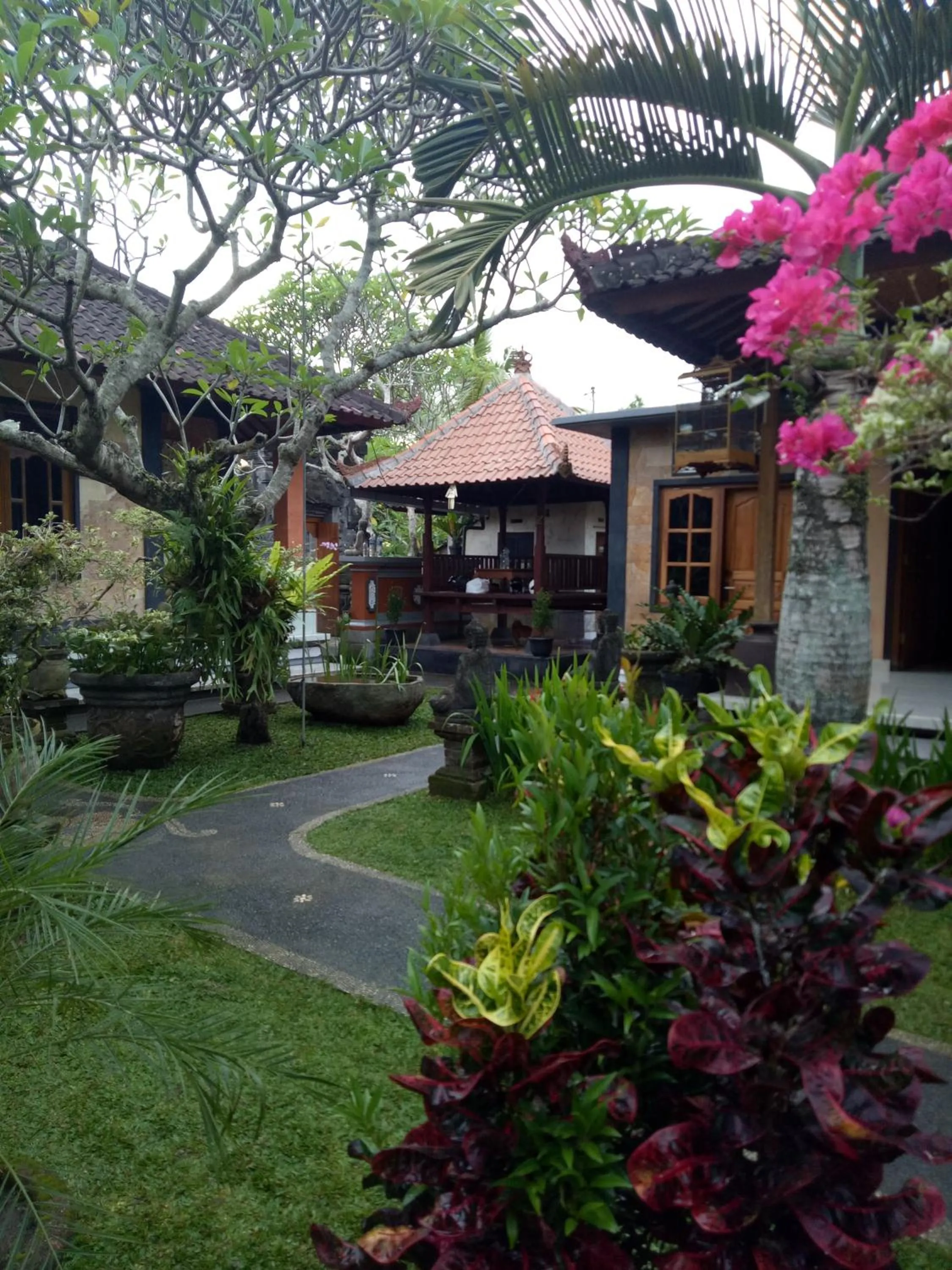 Garden view in Suryadina Guest House