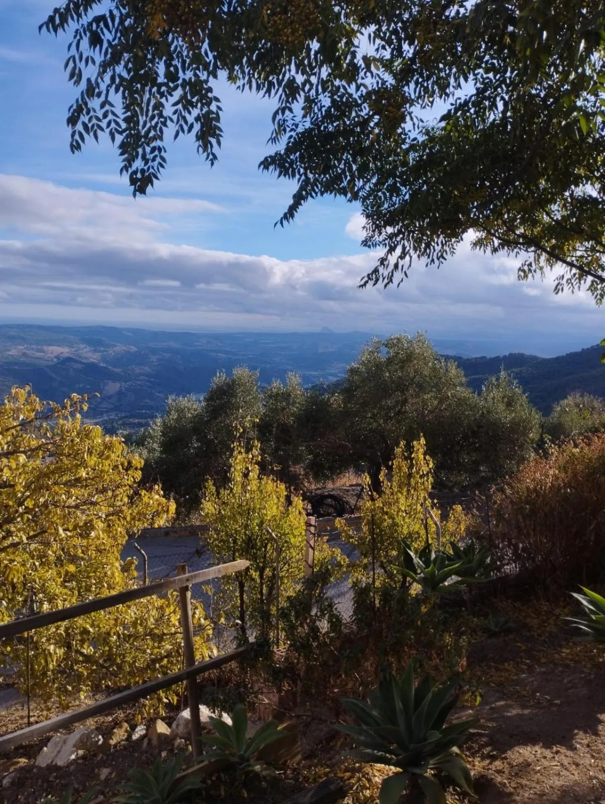 Hostal Breñaverde