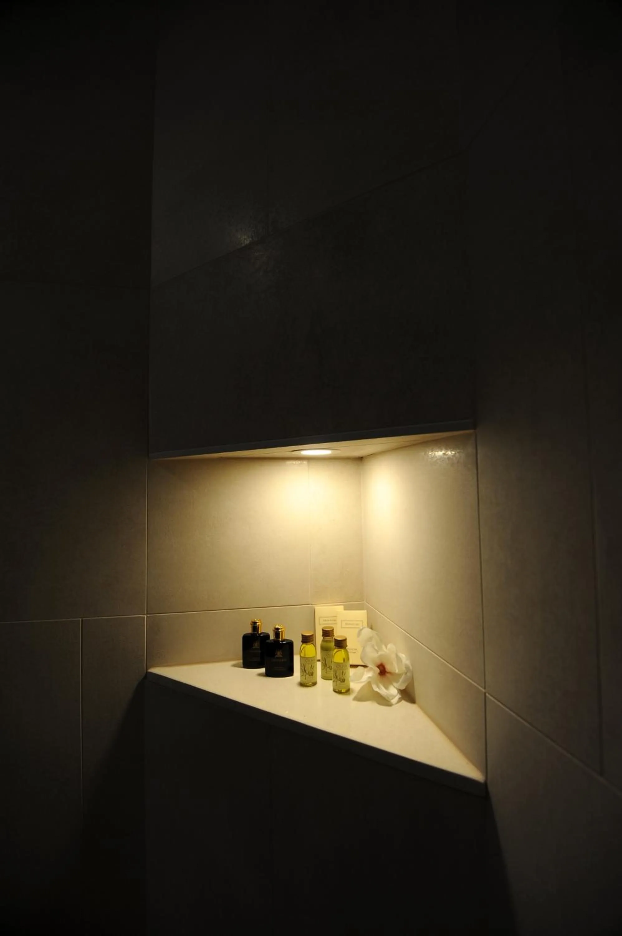 Shower in Silver & Gold Luxury Rooms