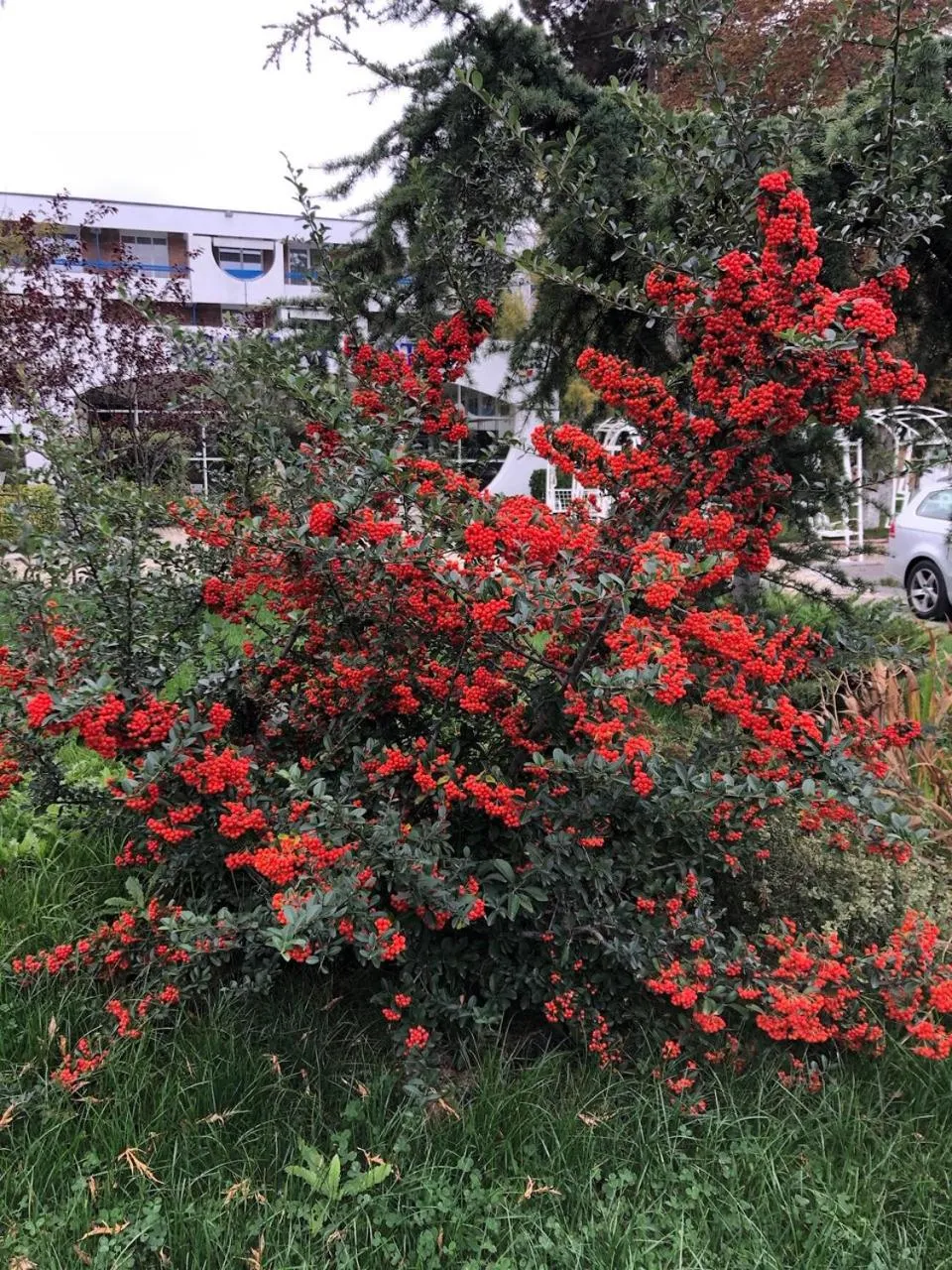 Property building in Academy Hotel