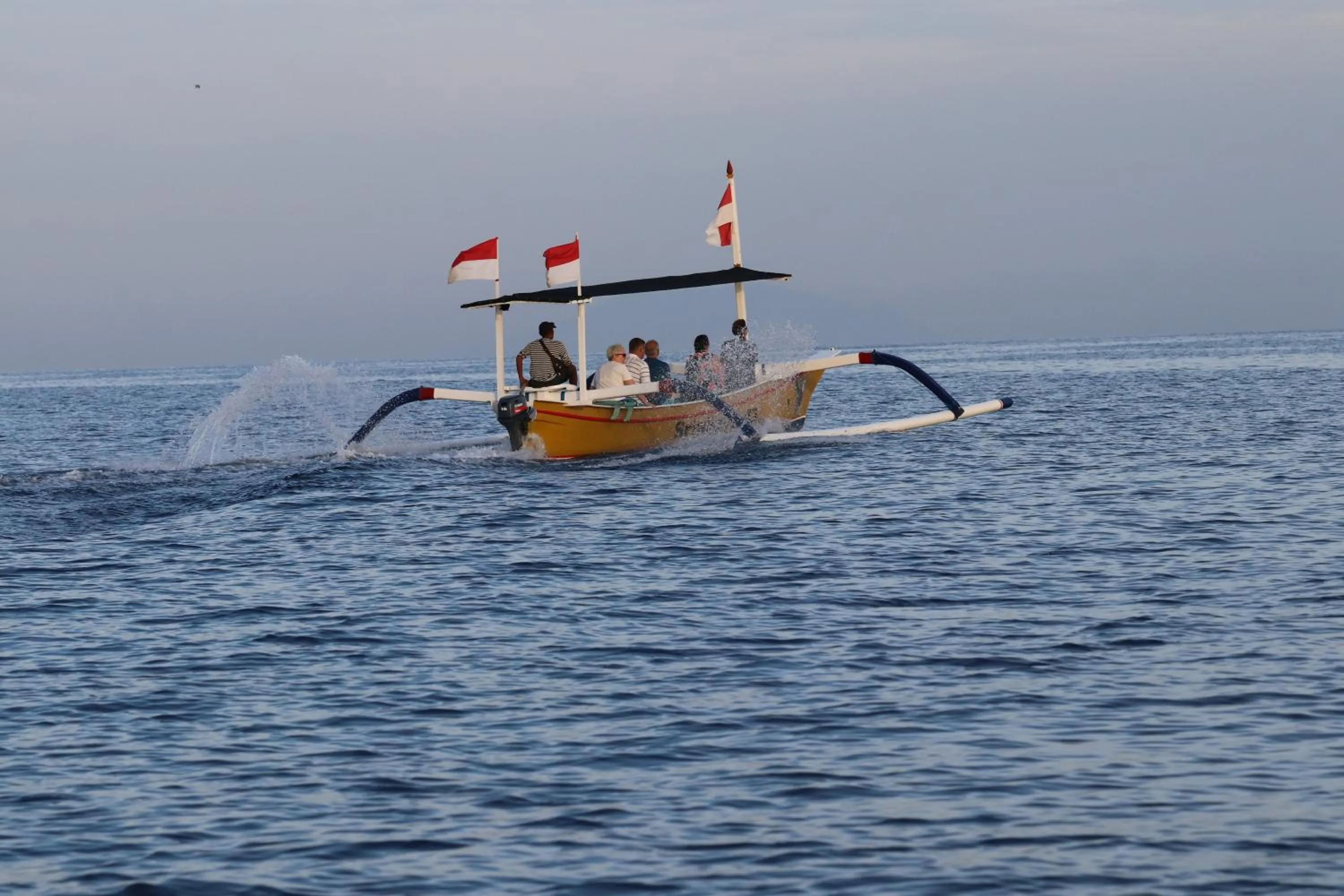 Activities in Alamanda Lovina Resort