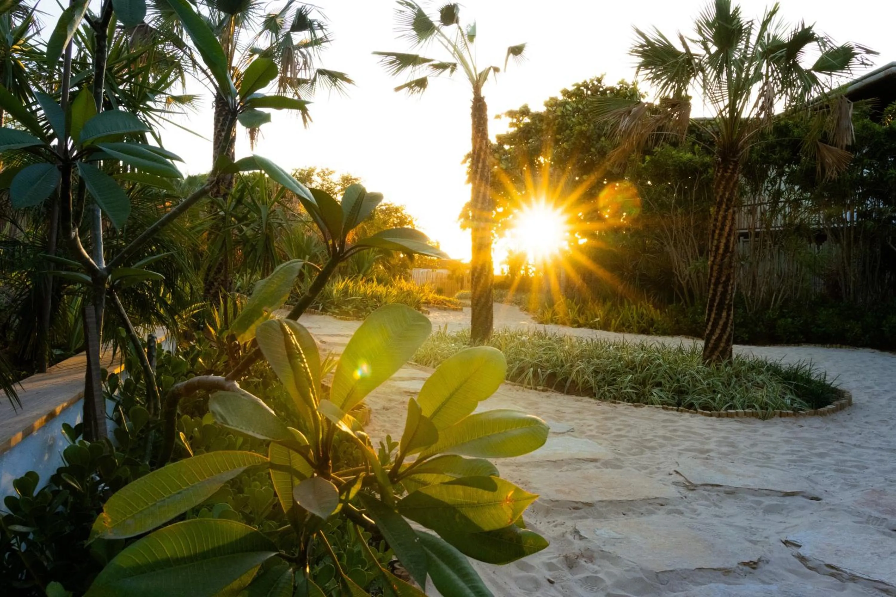 Spring in Villa Tapi