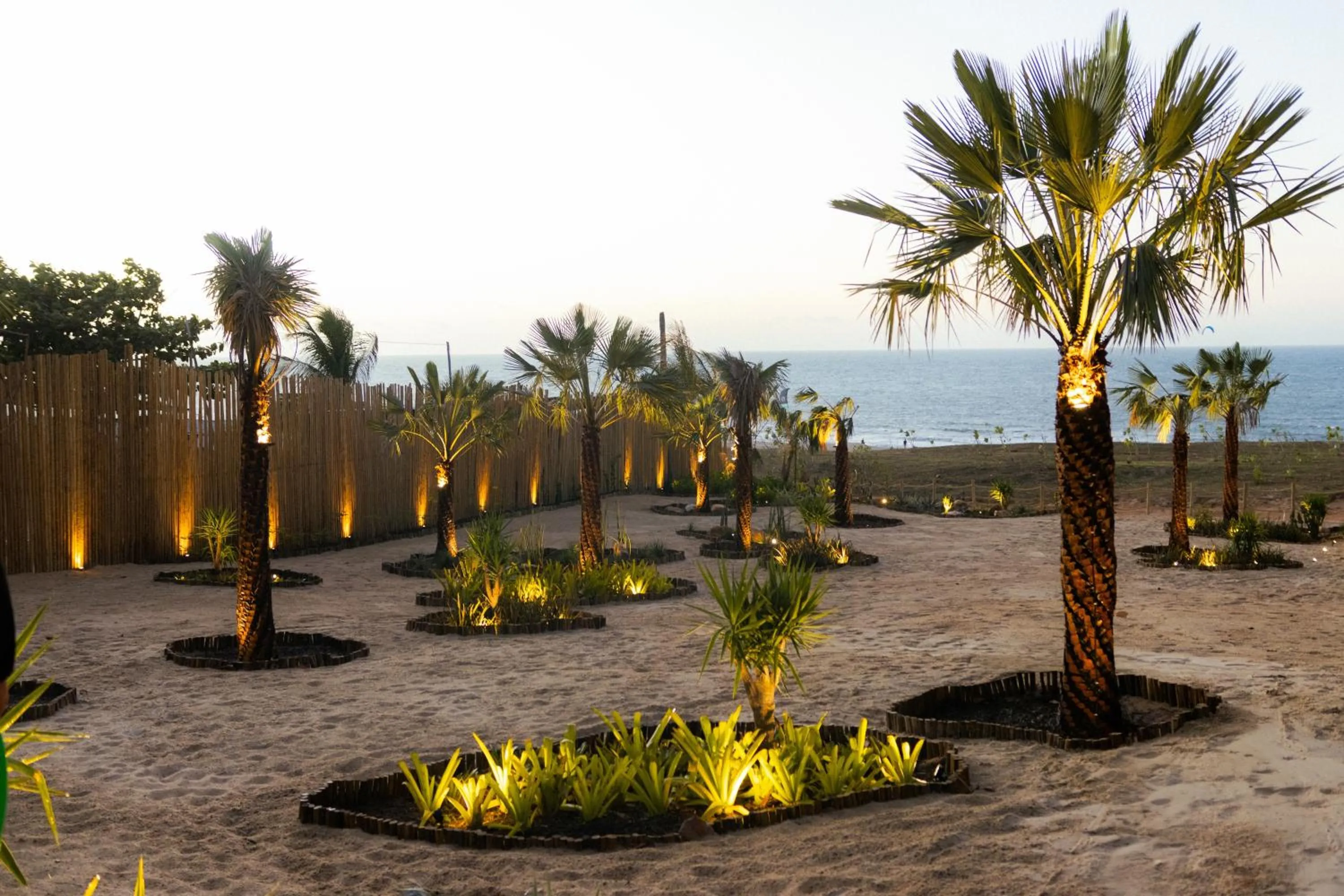 Spring in Villa Tapi