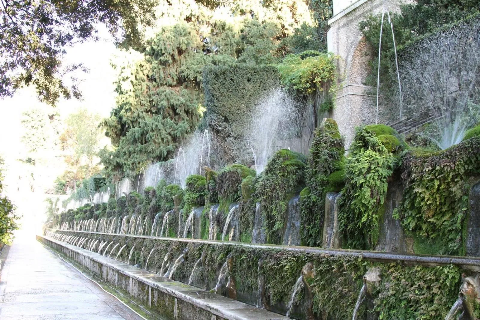 Nearby landmark in Maximo Hotel