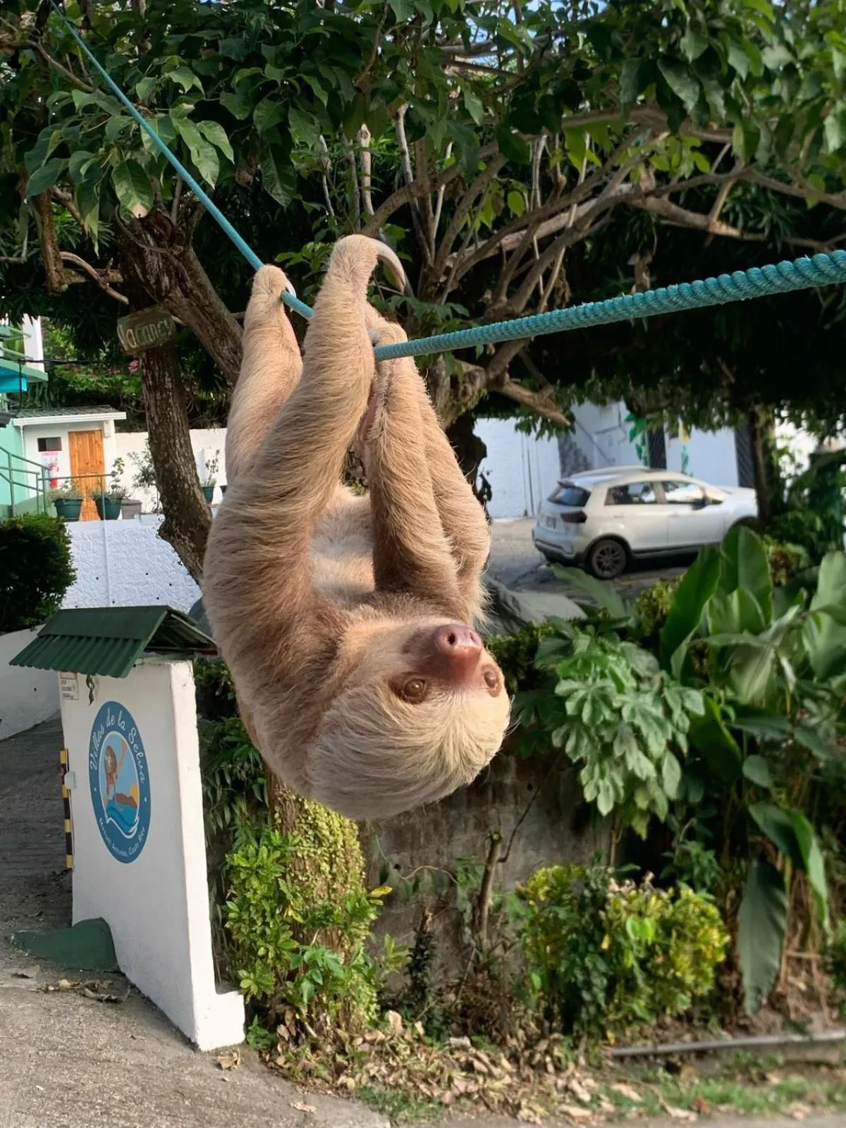 Animals in Hotel Villas de la Selva